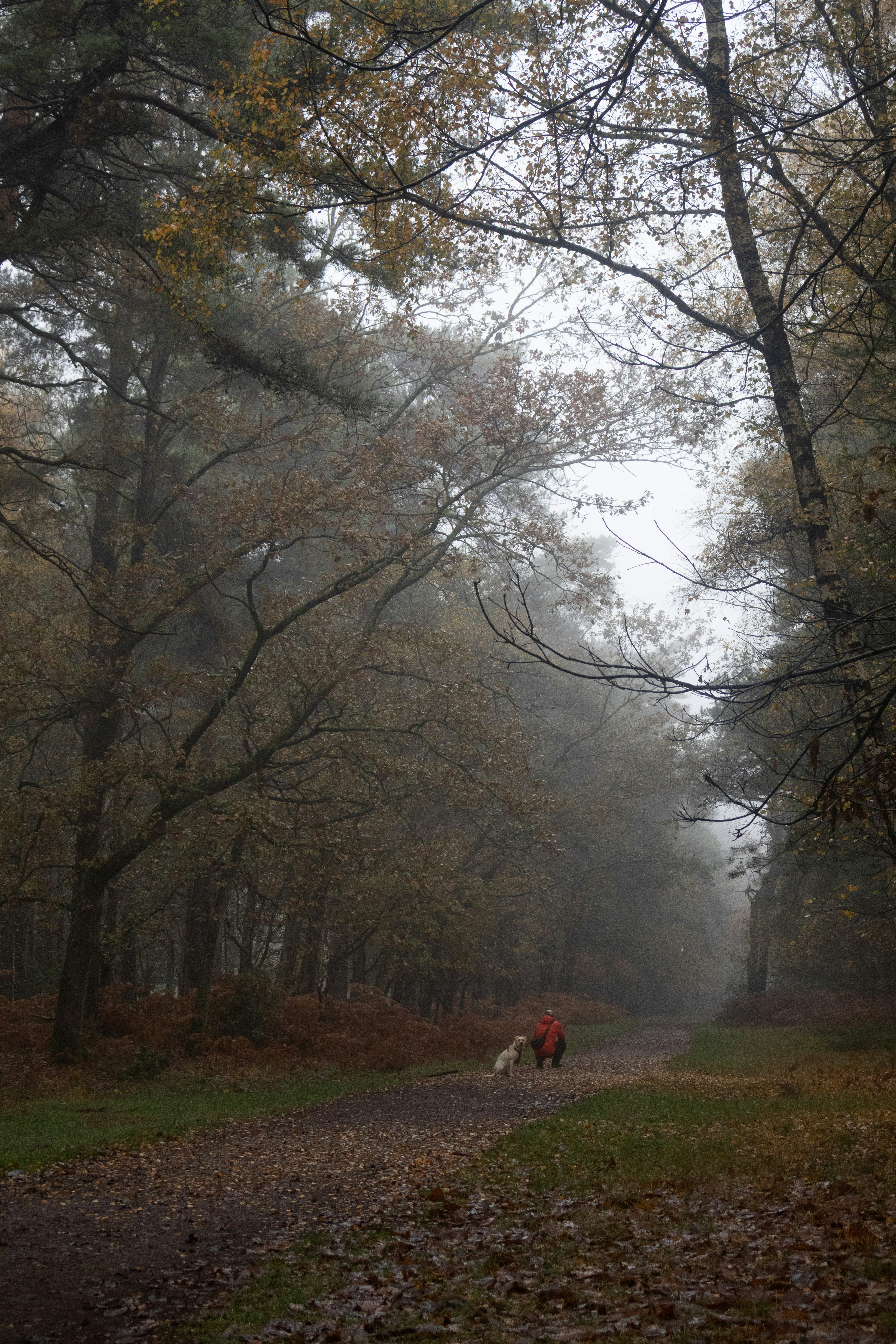 Photo by tanyabarrow