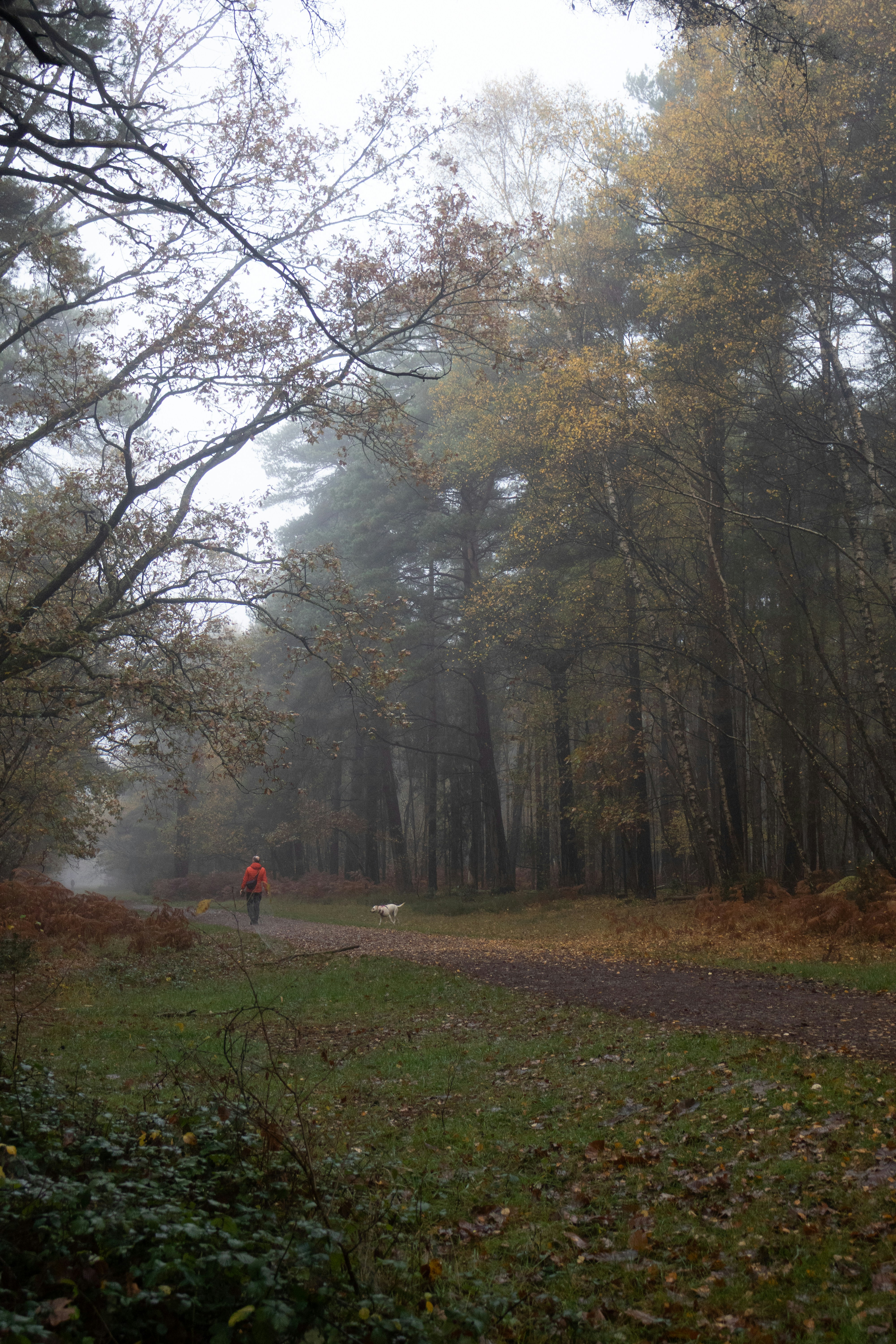 Photo by tanyabarrow