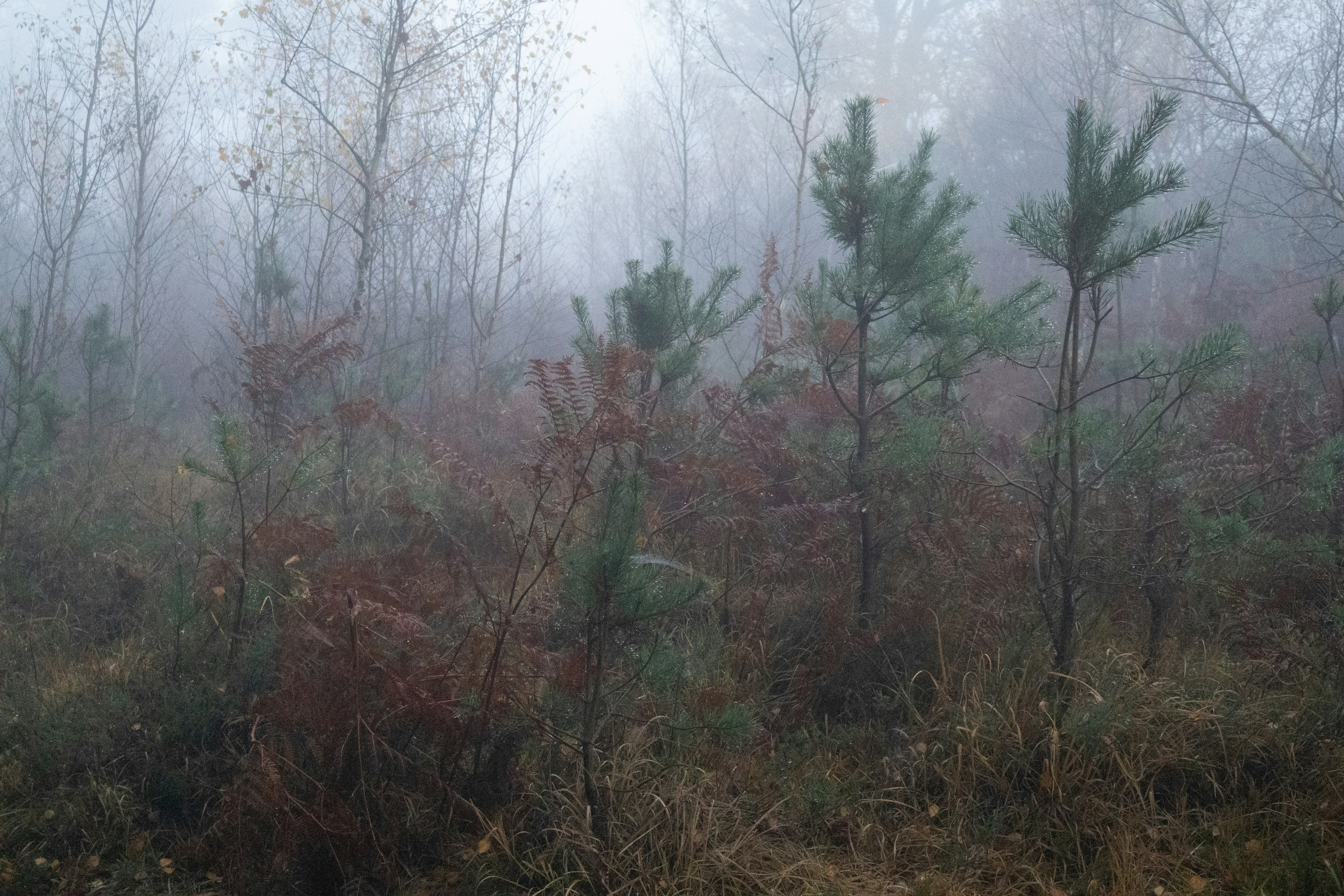 Photo by tanyabarrow