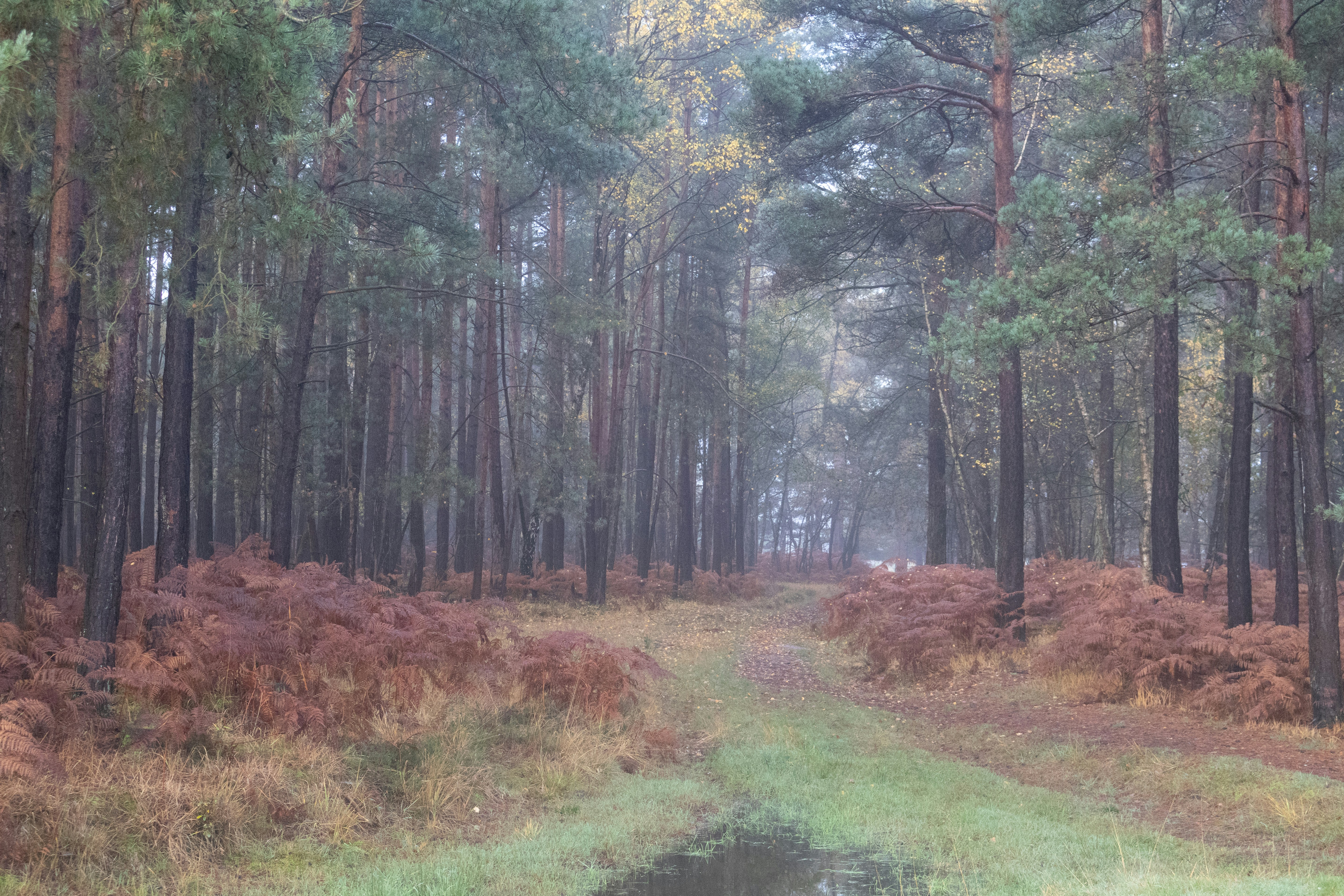 Photo by tanyabarrow