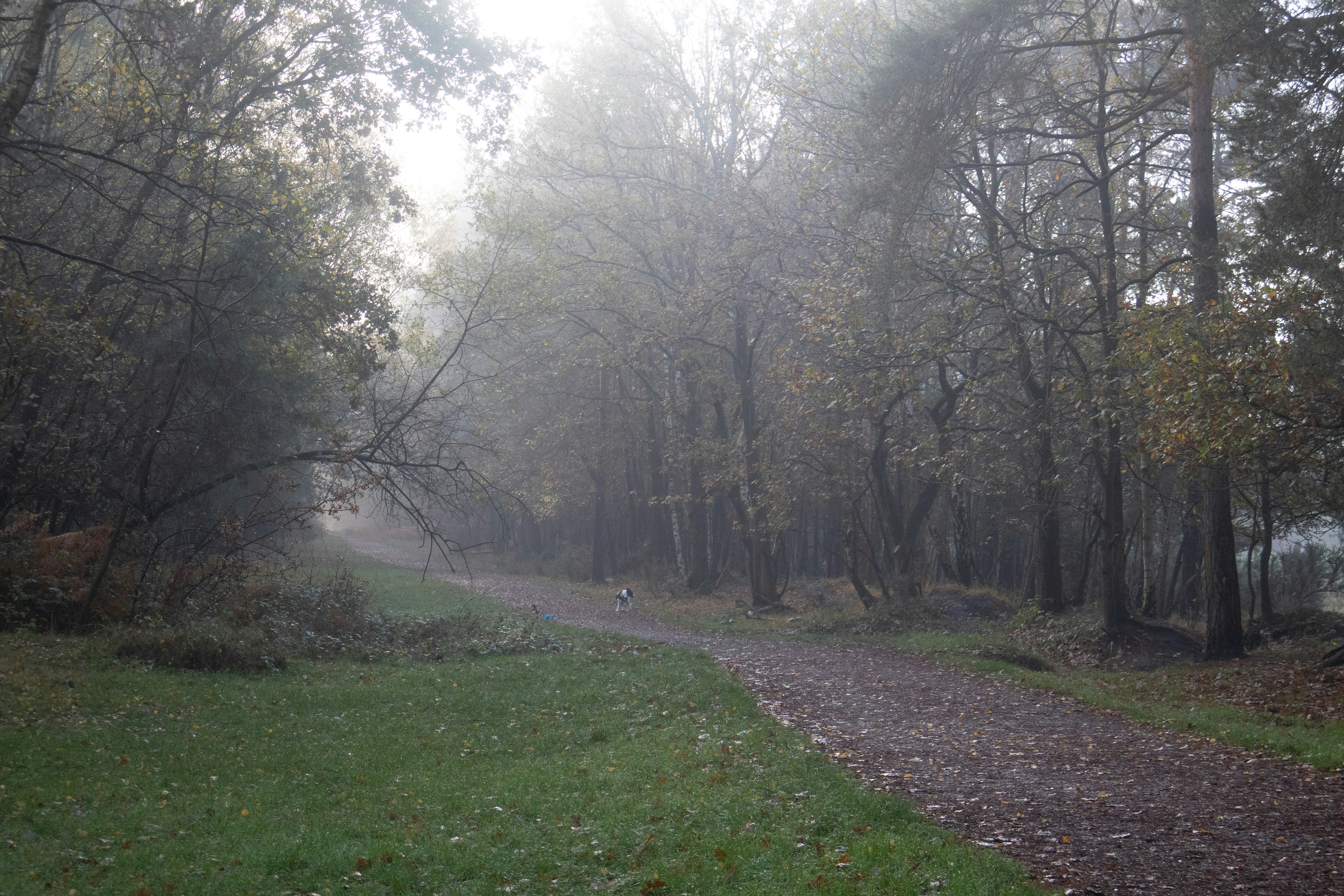 Track Activity for Better End-of-Day Recovery