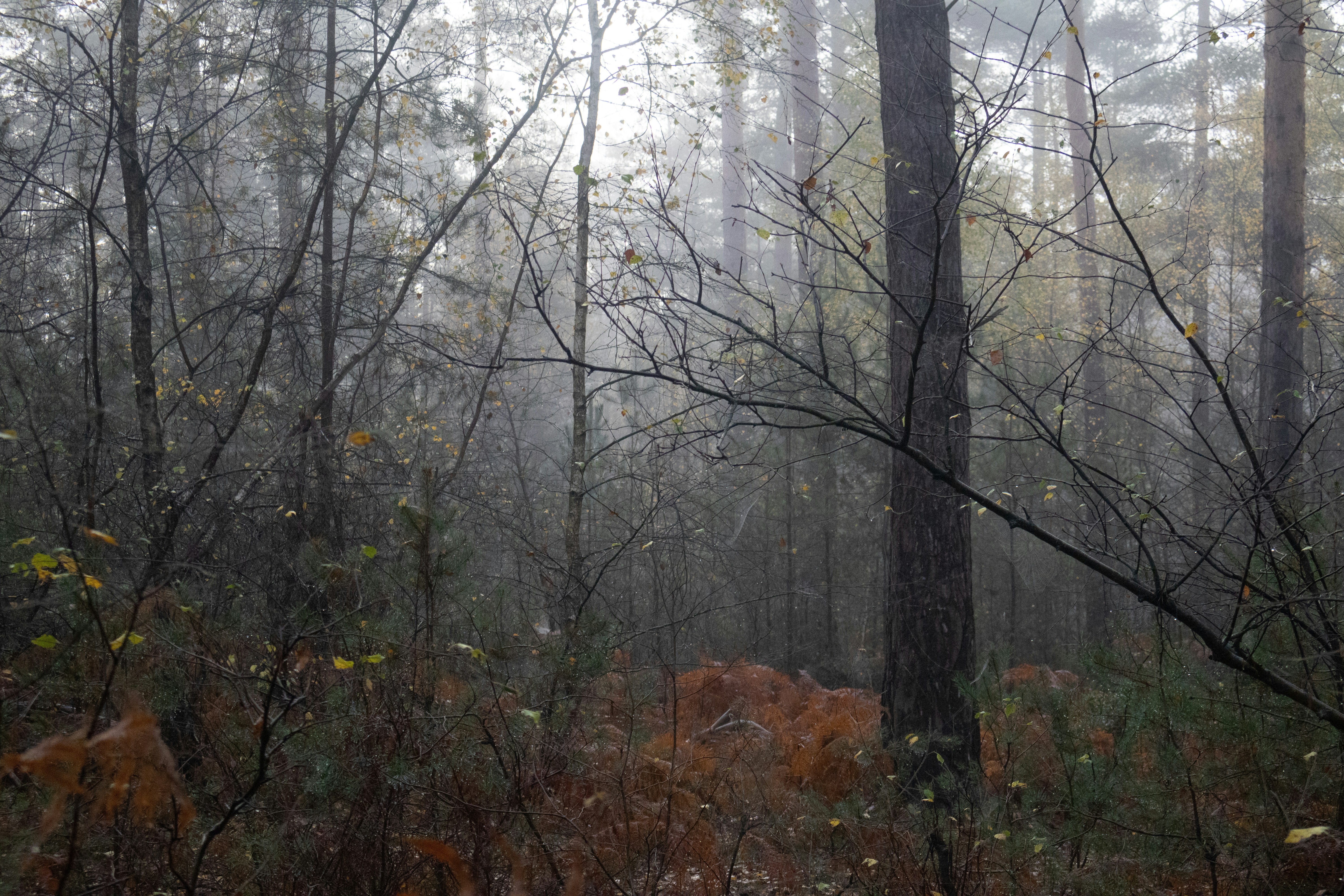 Photo by tanyabarrow