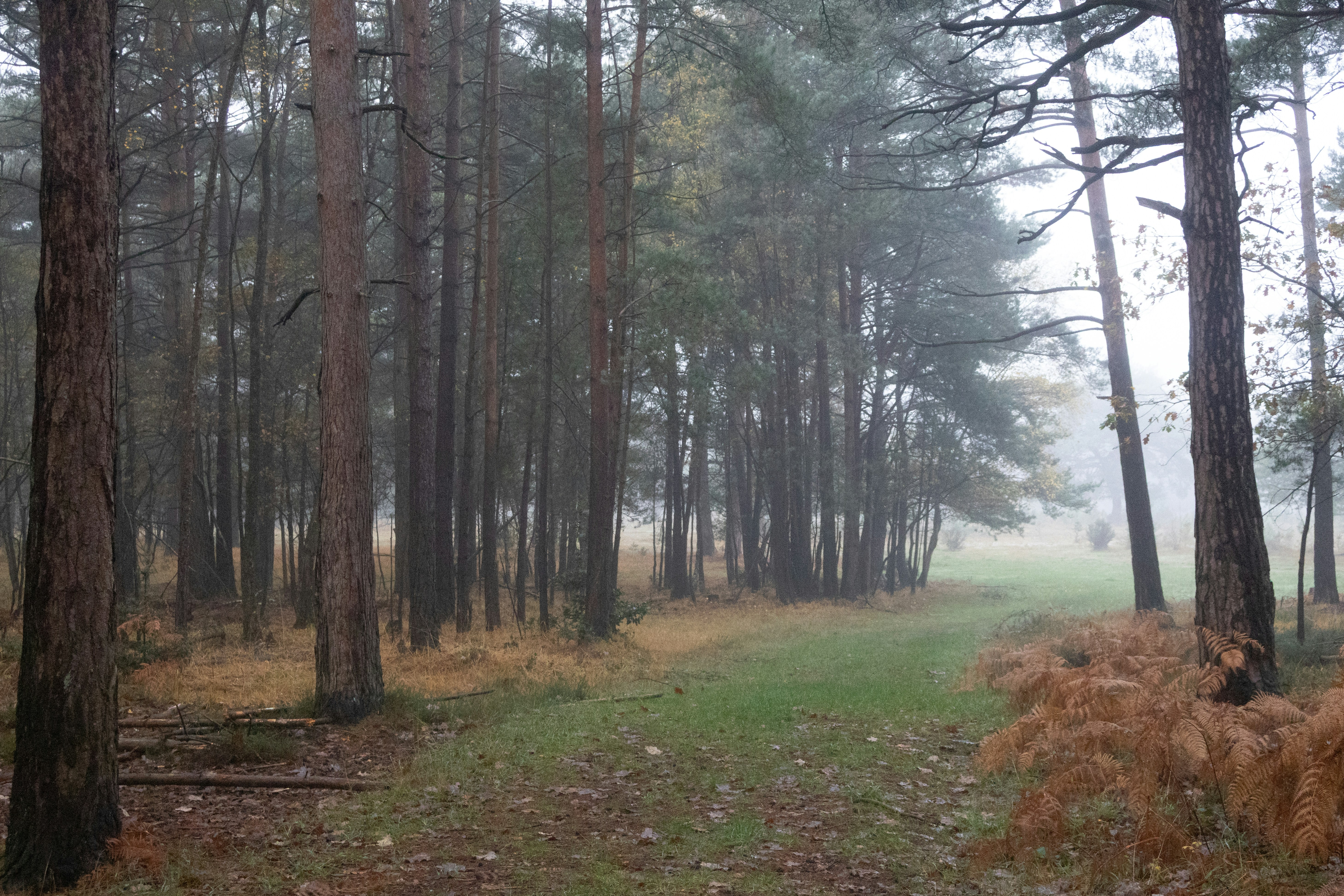 Photo by tanyabarrow