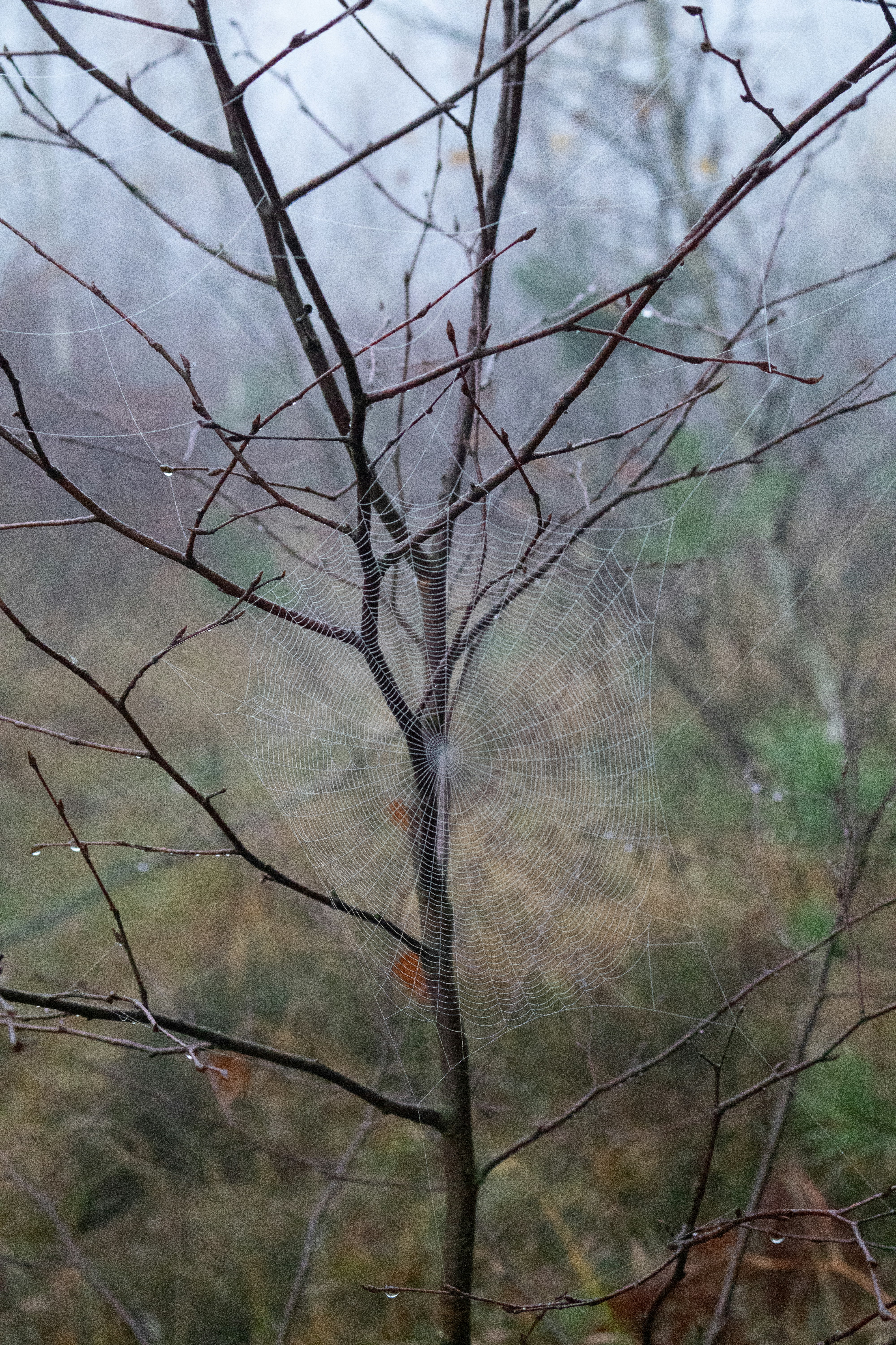 Photo by tanyabarrow