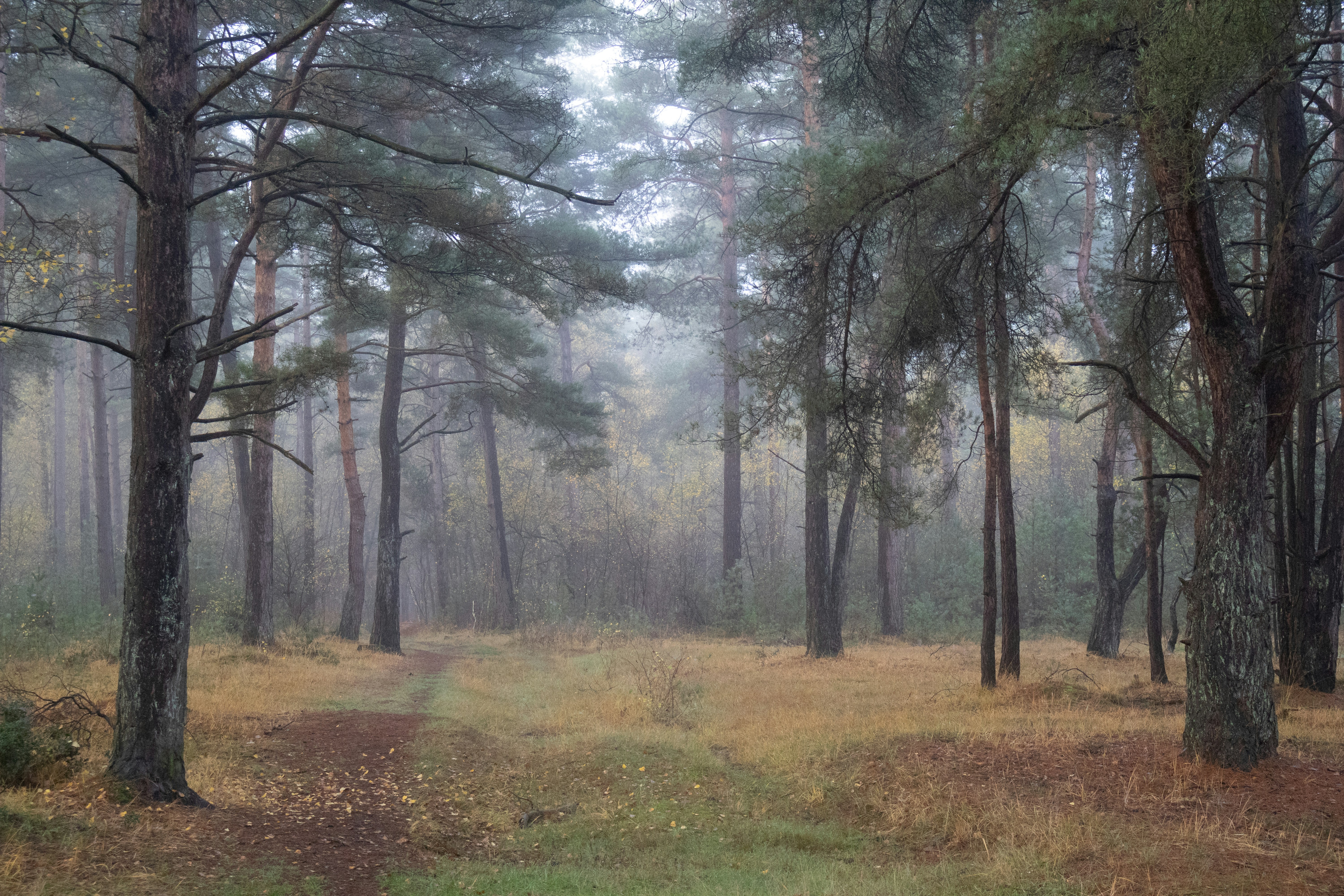 Photo by tanyabarrow