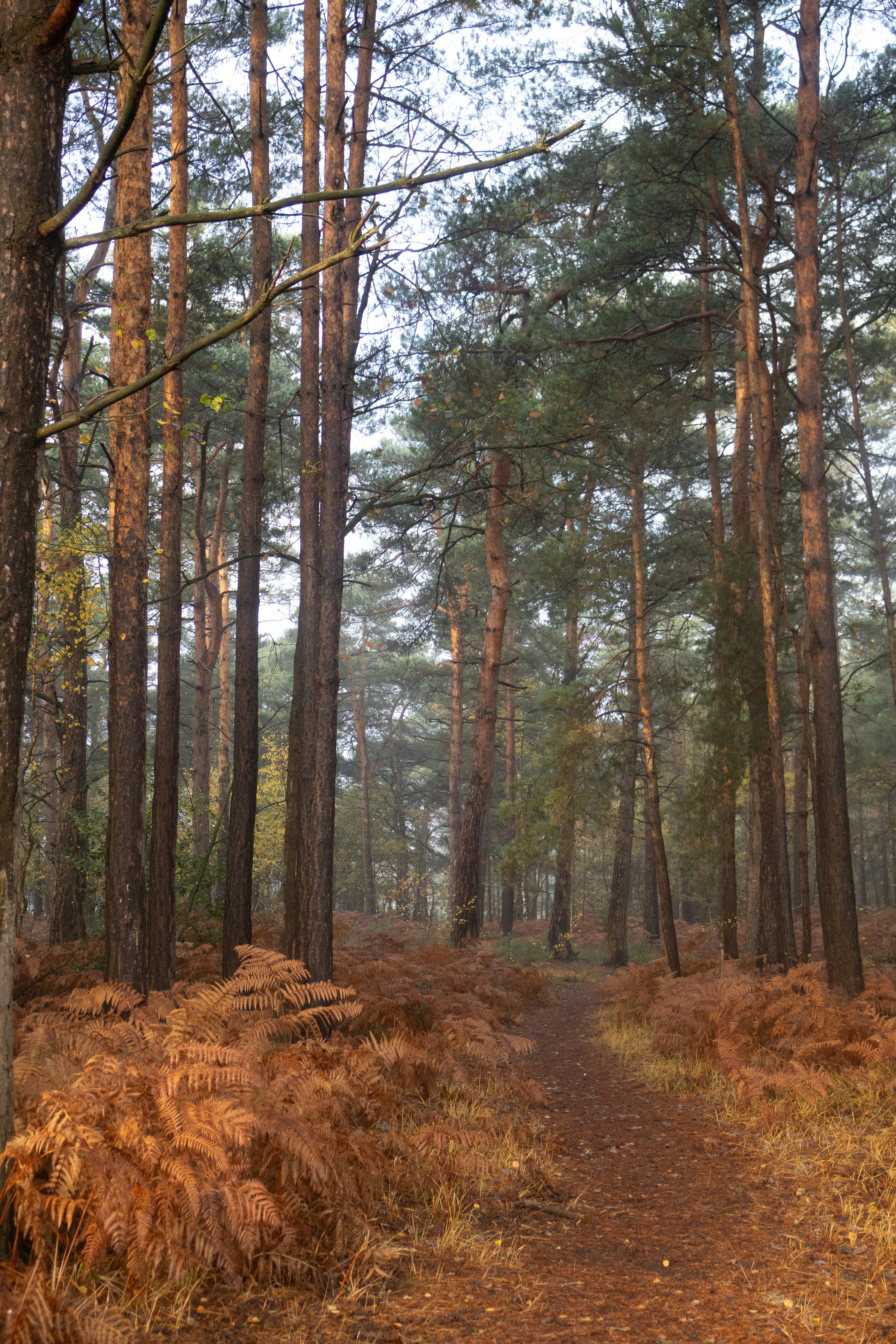 Photo by tanyabarrow