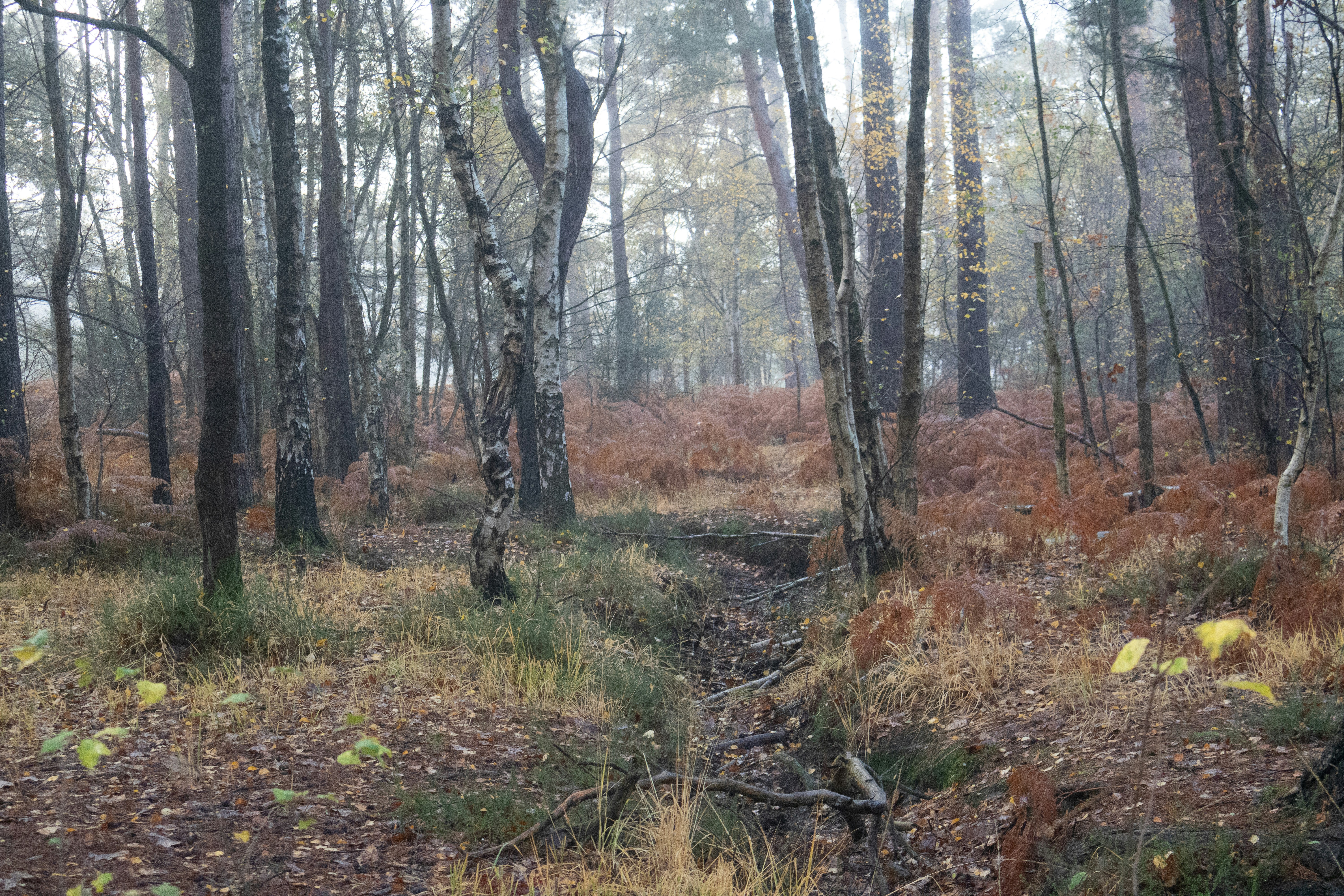 Photo by tanyabarrow