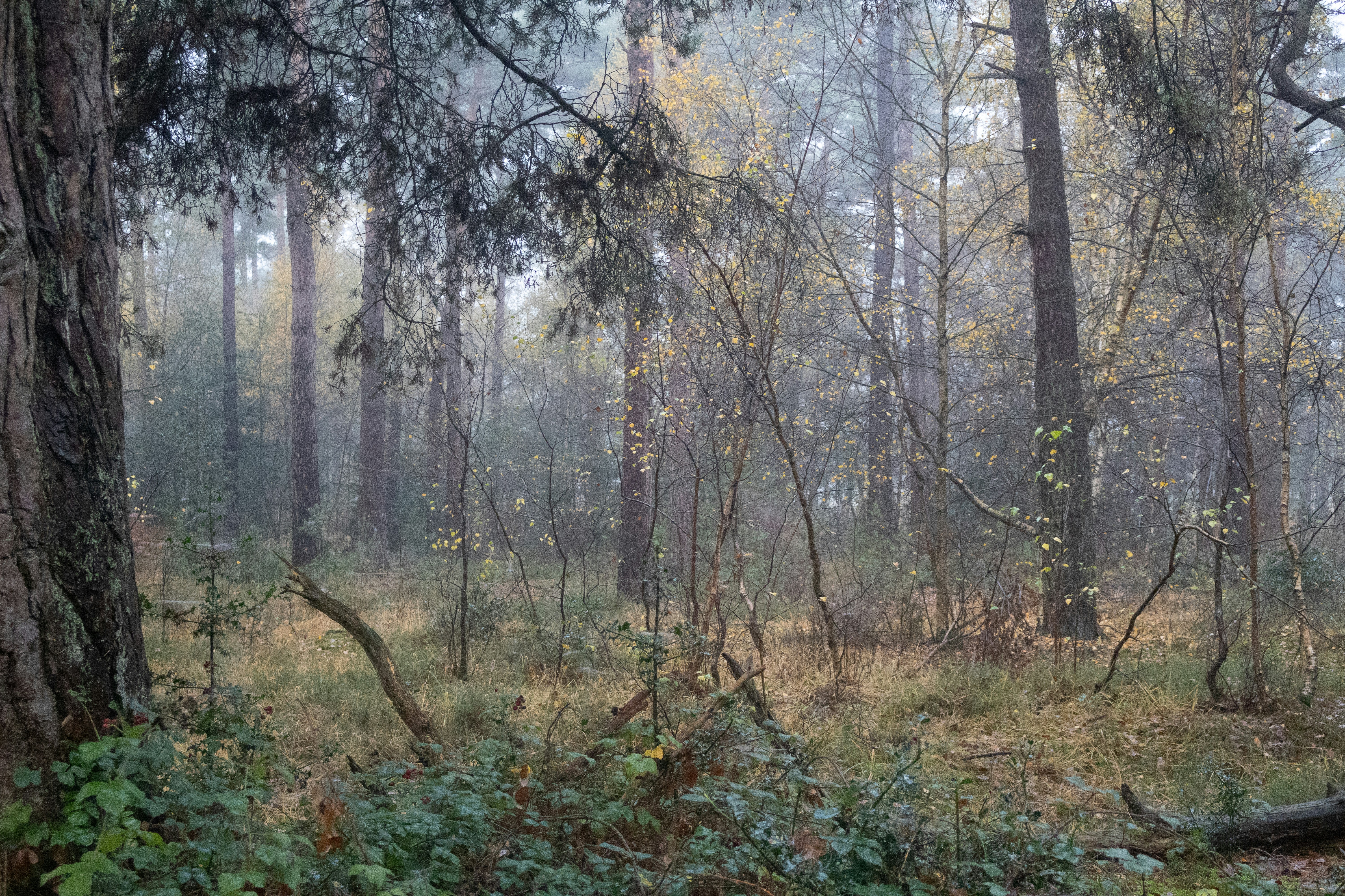 Photo by tanyabarrow