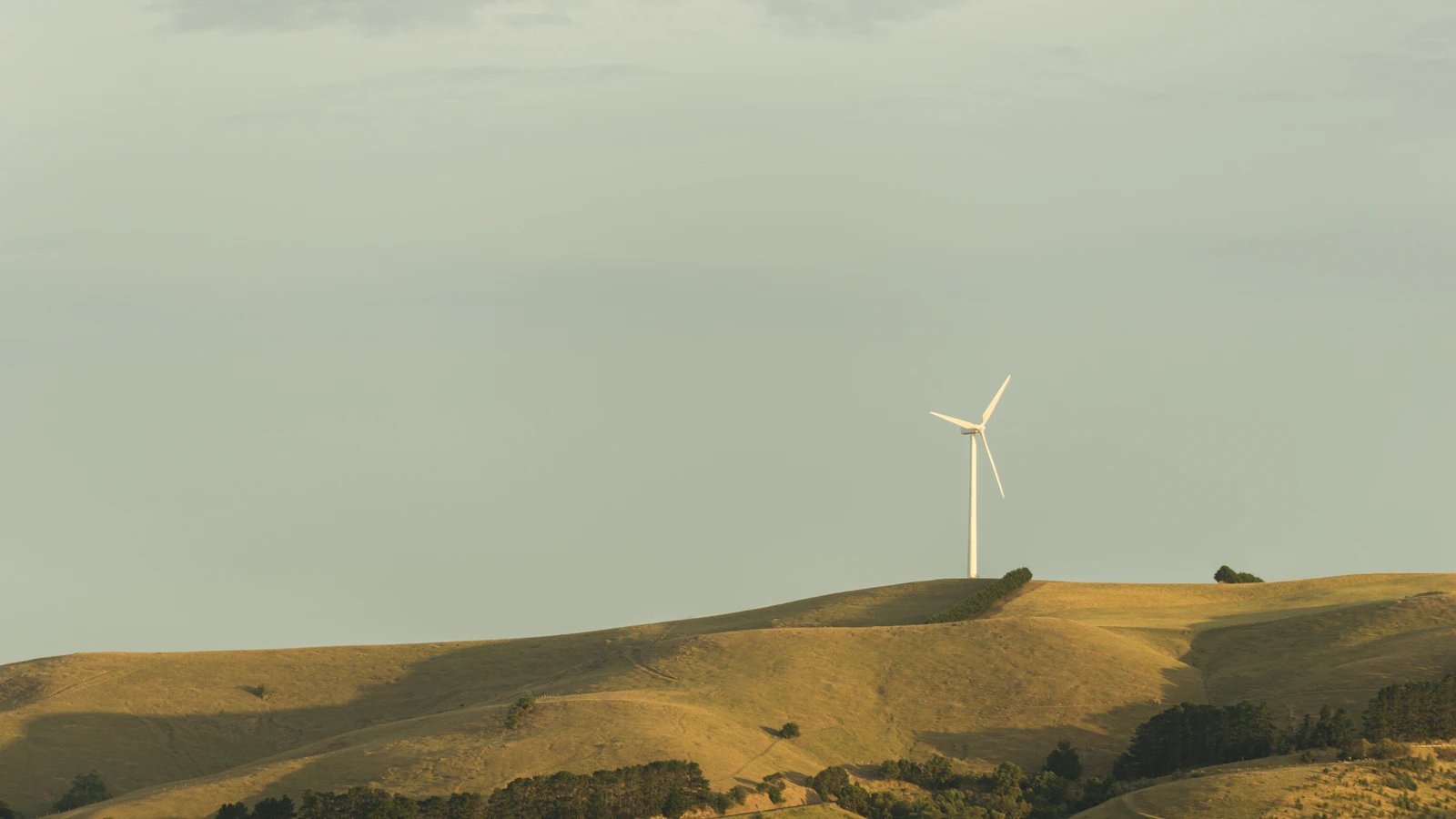 A single wind turbine on a golden hillside under a pale sky