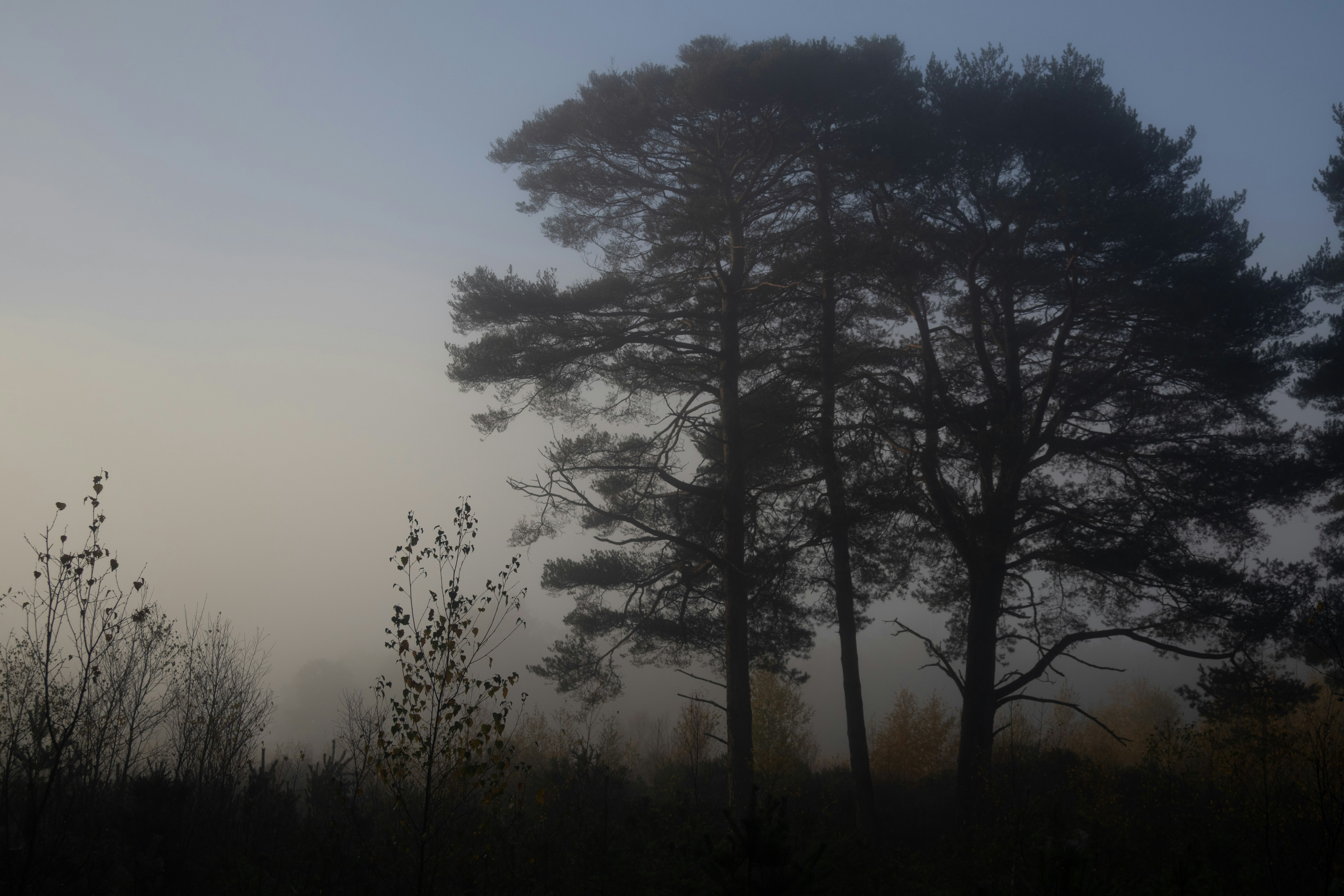 Photo by tanyabarrow