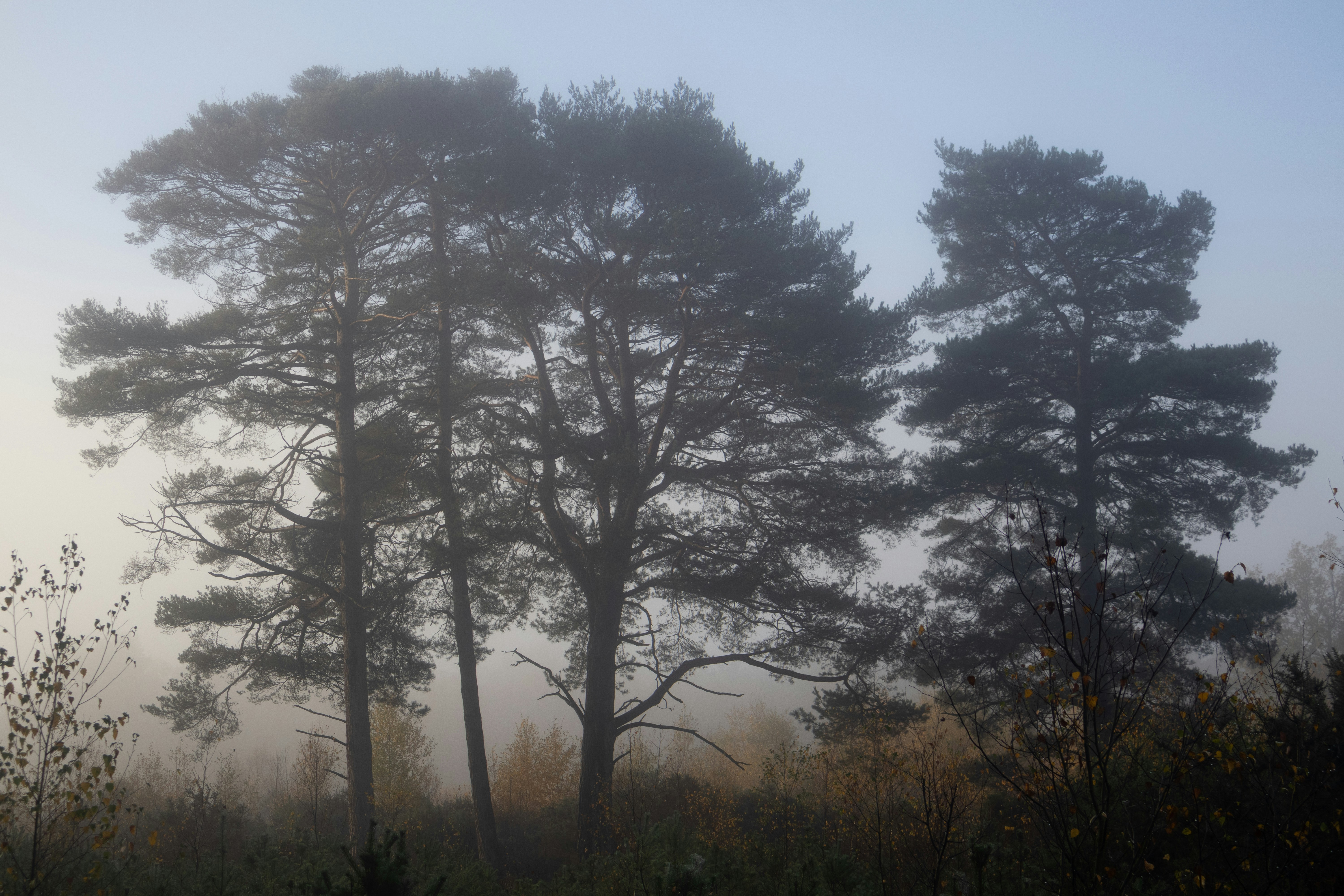 Photo by tanyabarrow