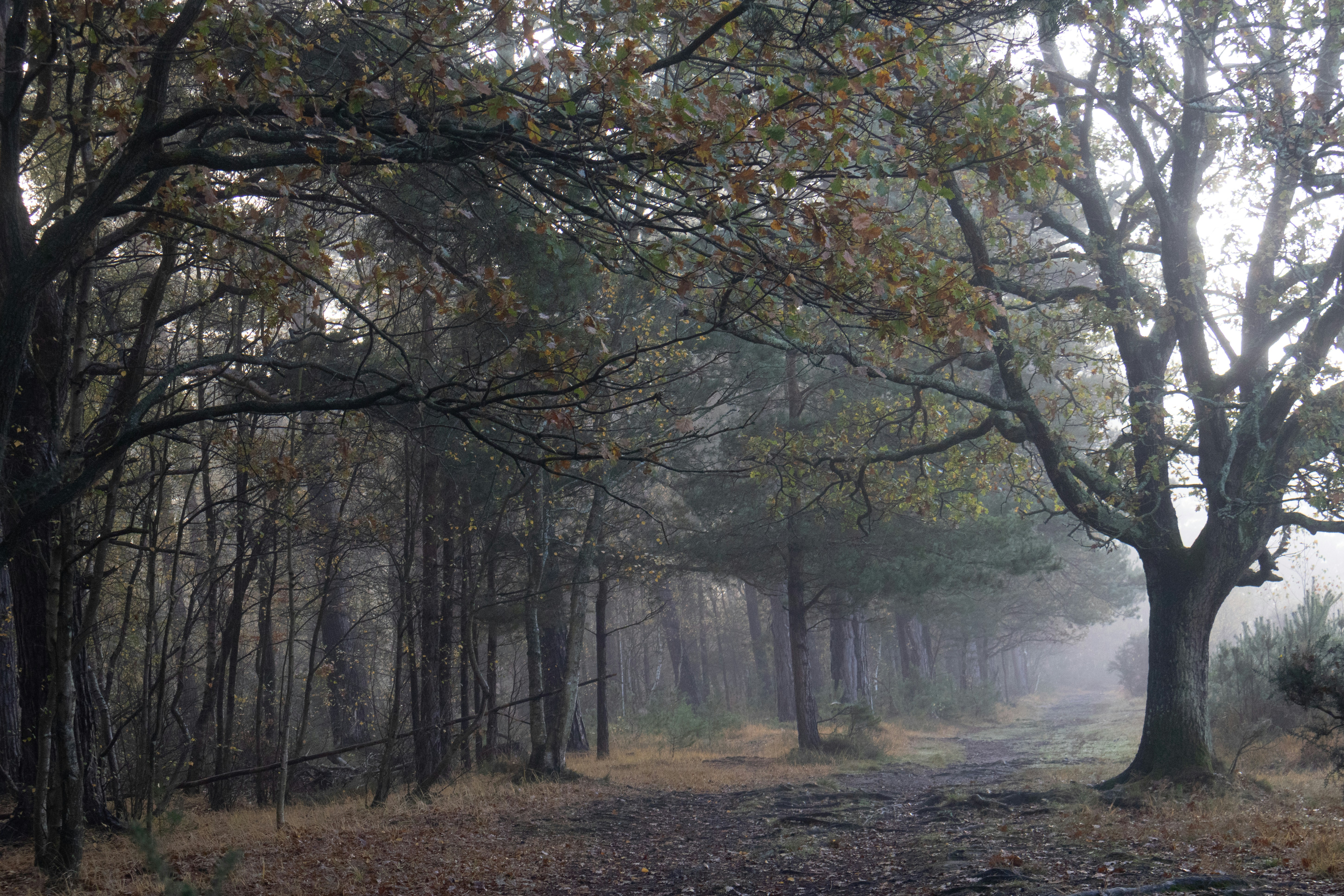 Photo by tanyabarrow