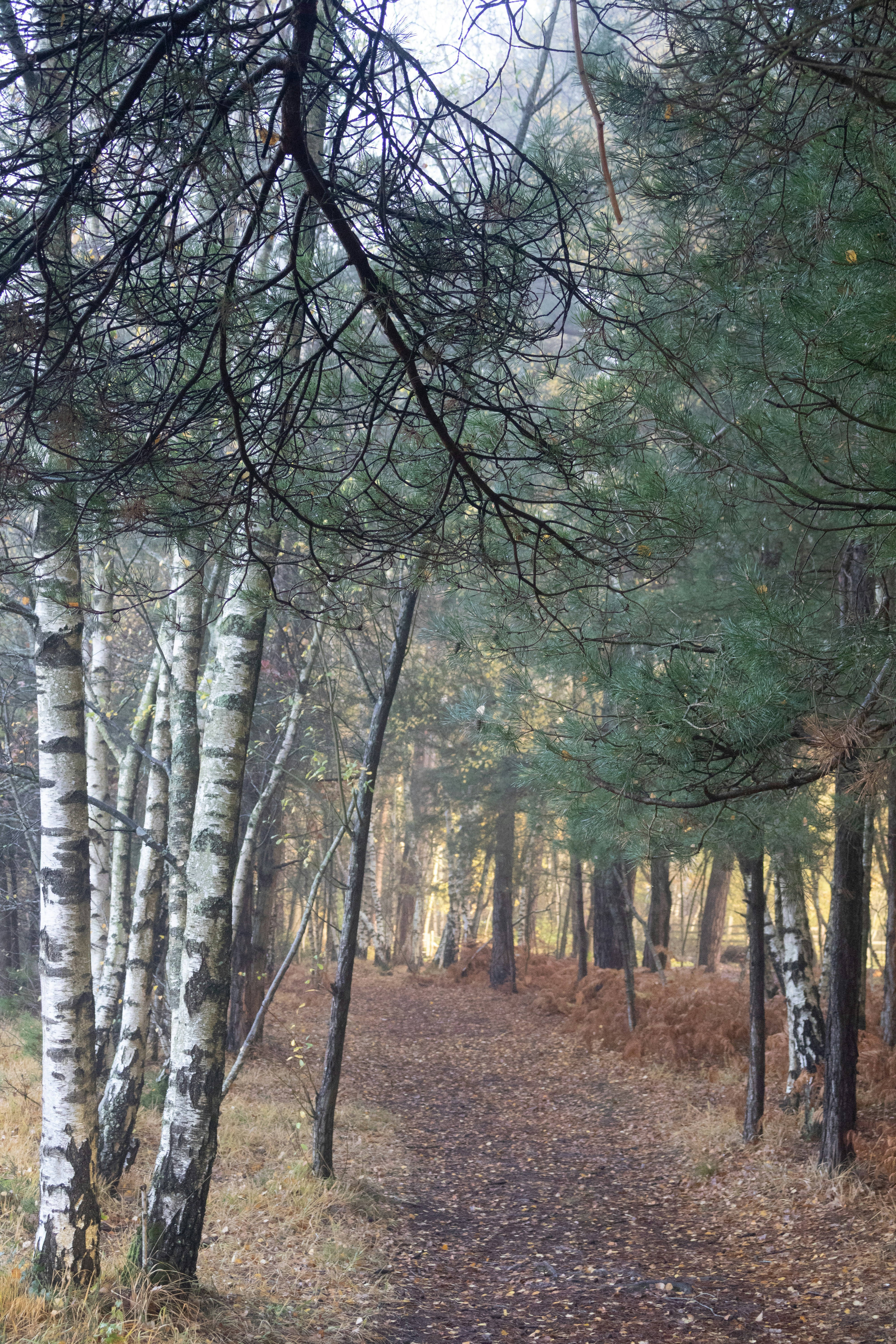 Photo by tanyabarrow