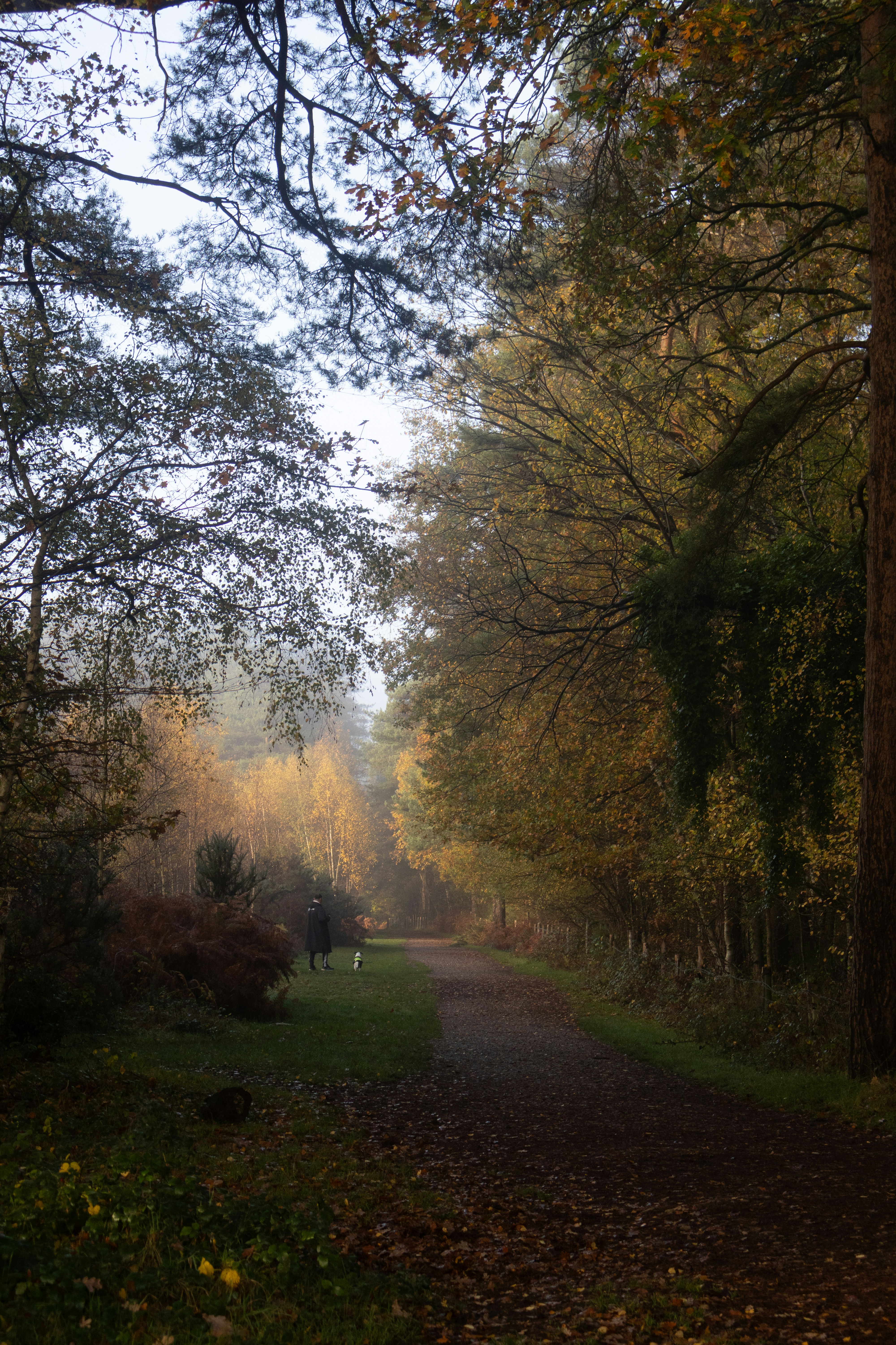 Photo by tanyabarrow