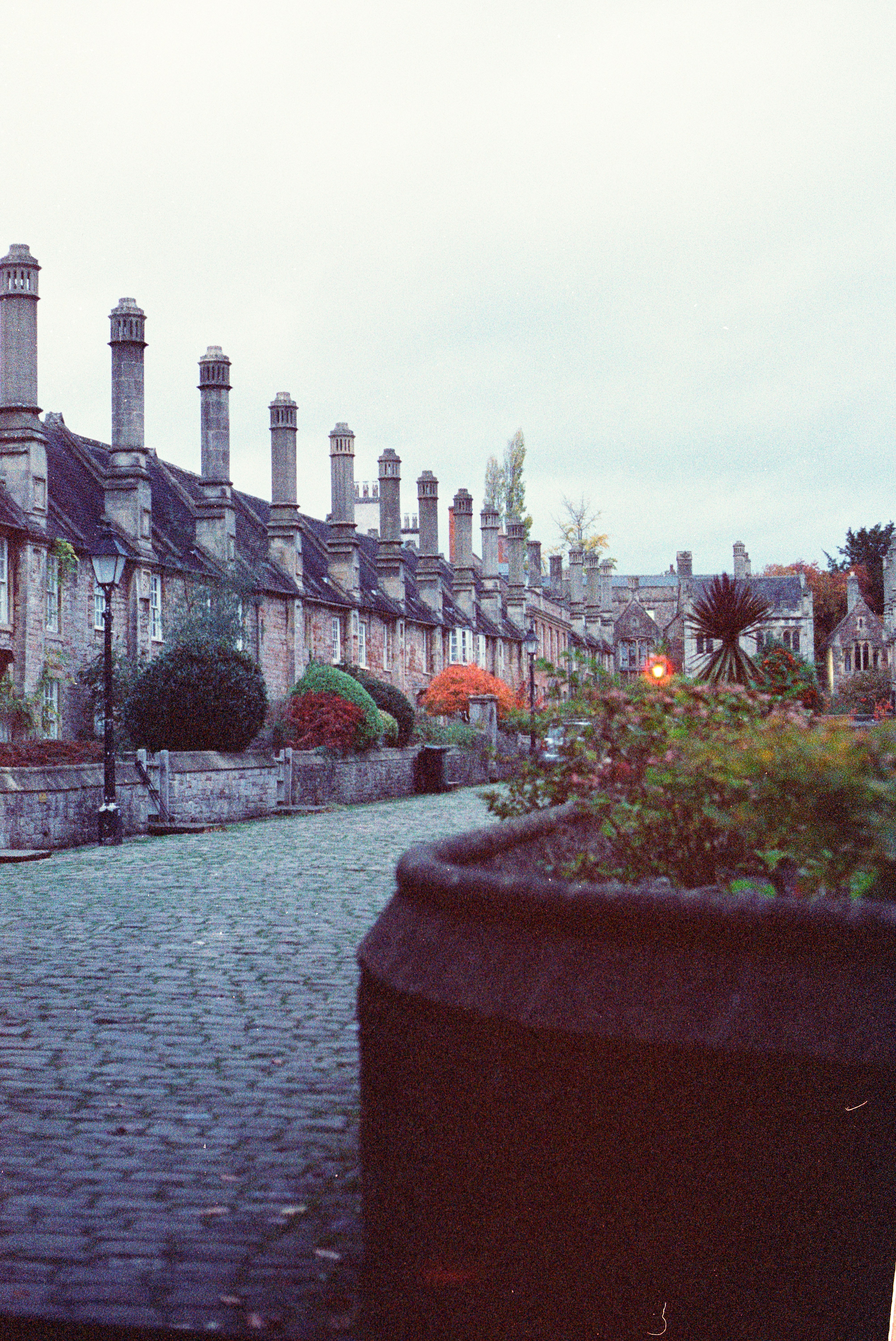 Photo by anniespratt