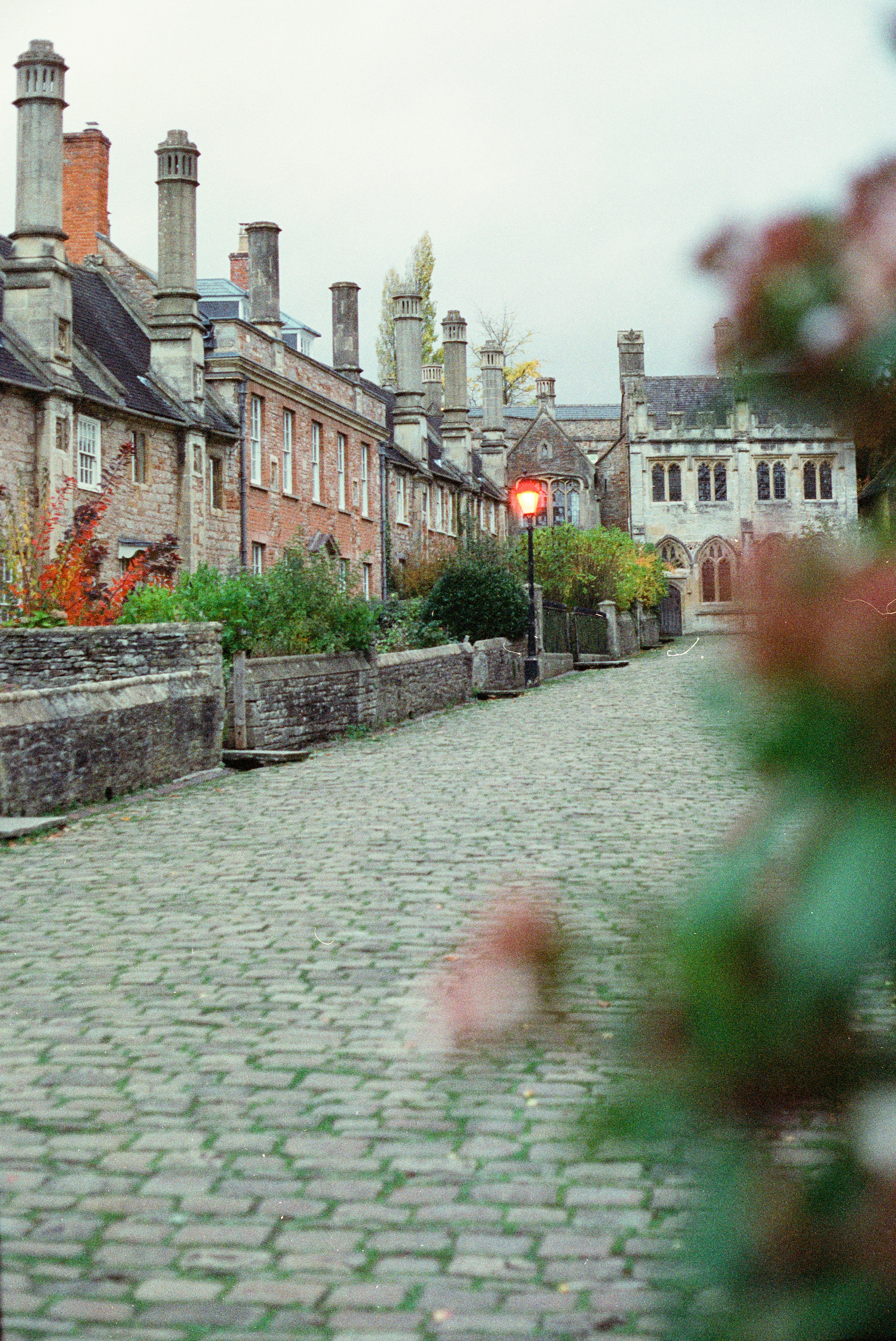 Photo by anniespratt