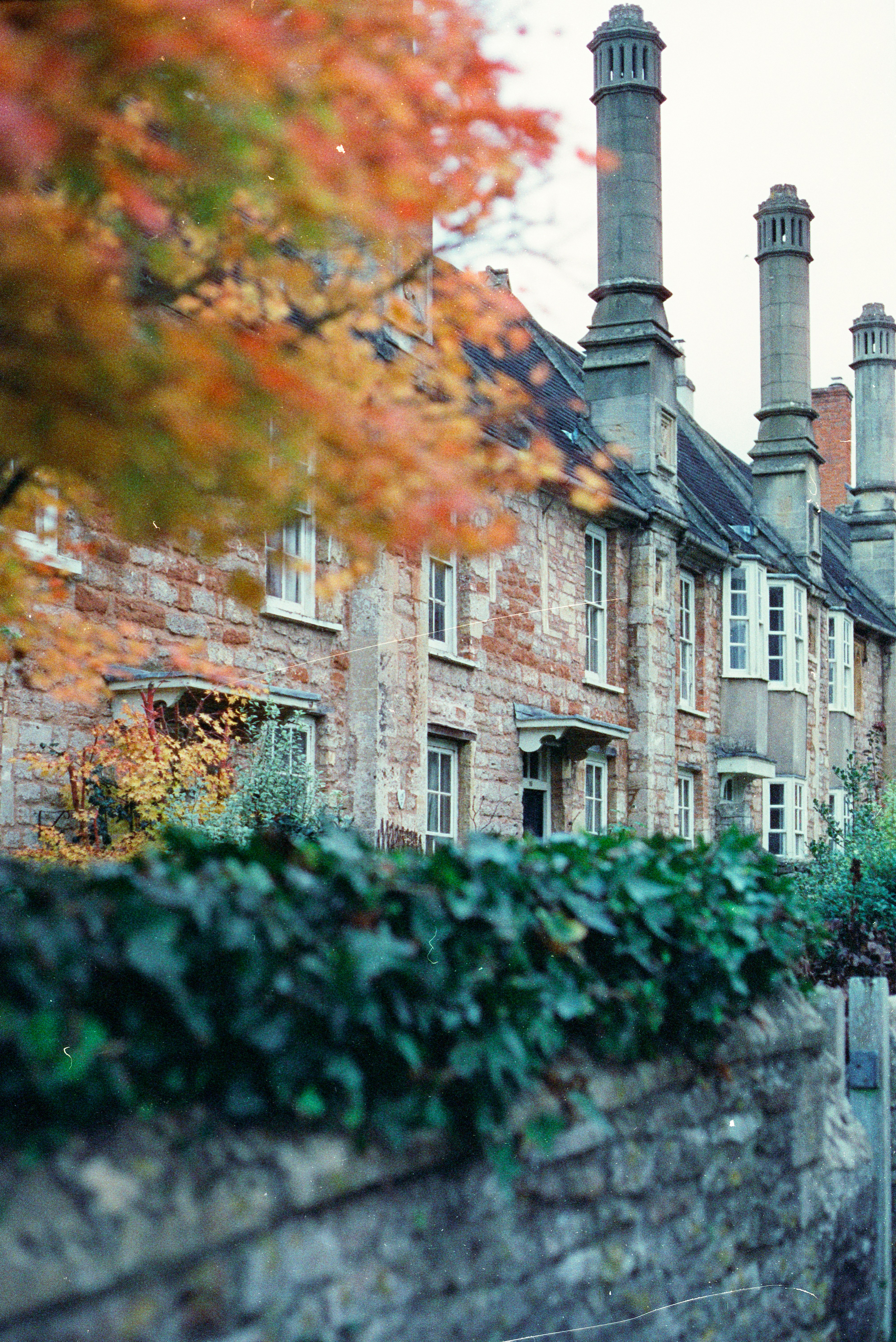 Photo by anniespratt