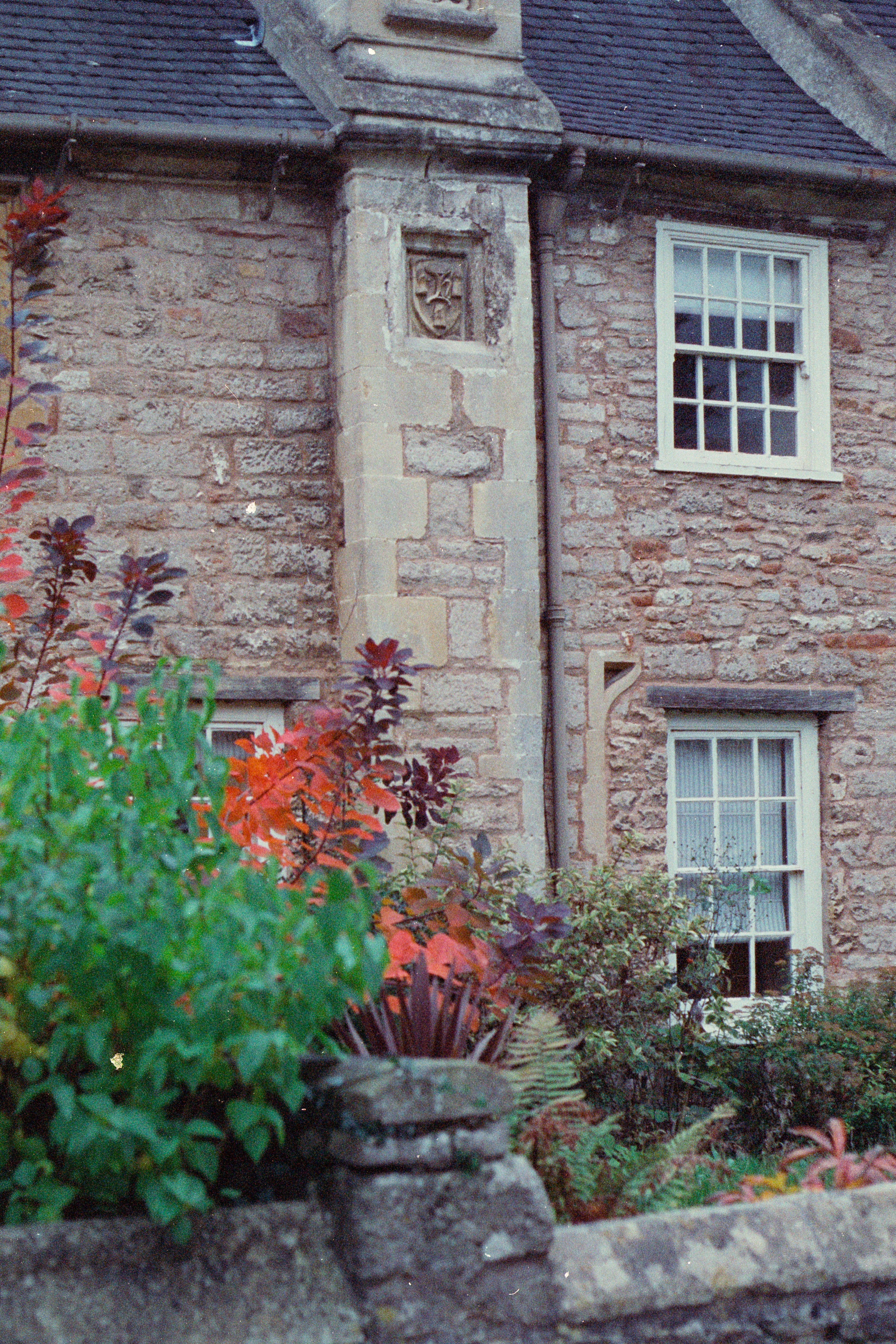 Photo by anniespratt