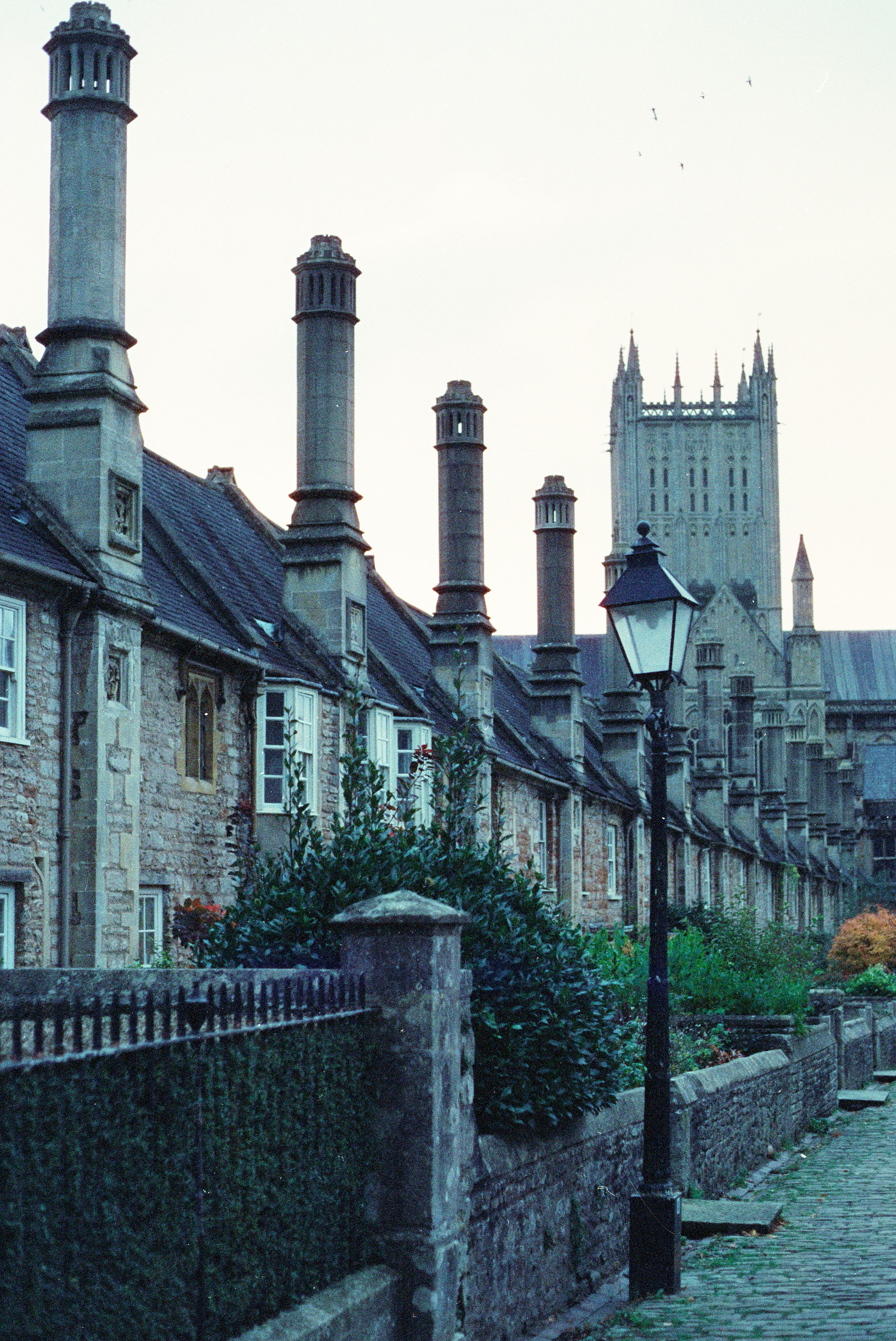 Photo by anniespratt