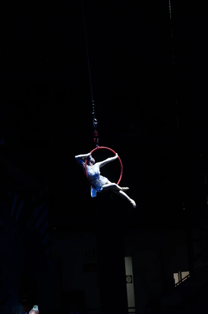 Aerialist in motion