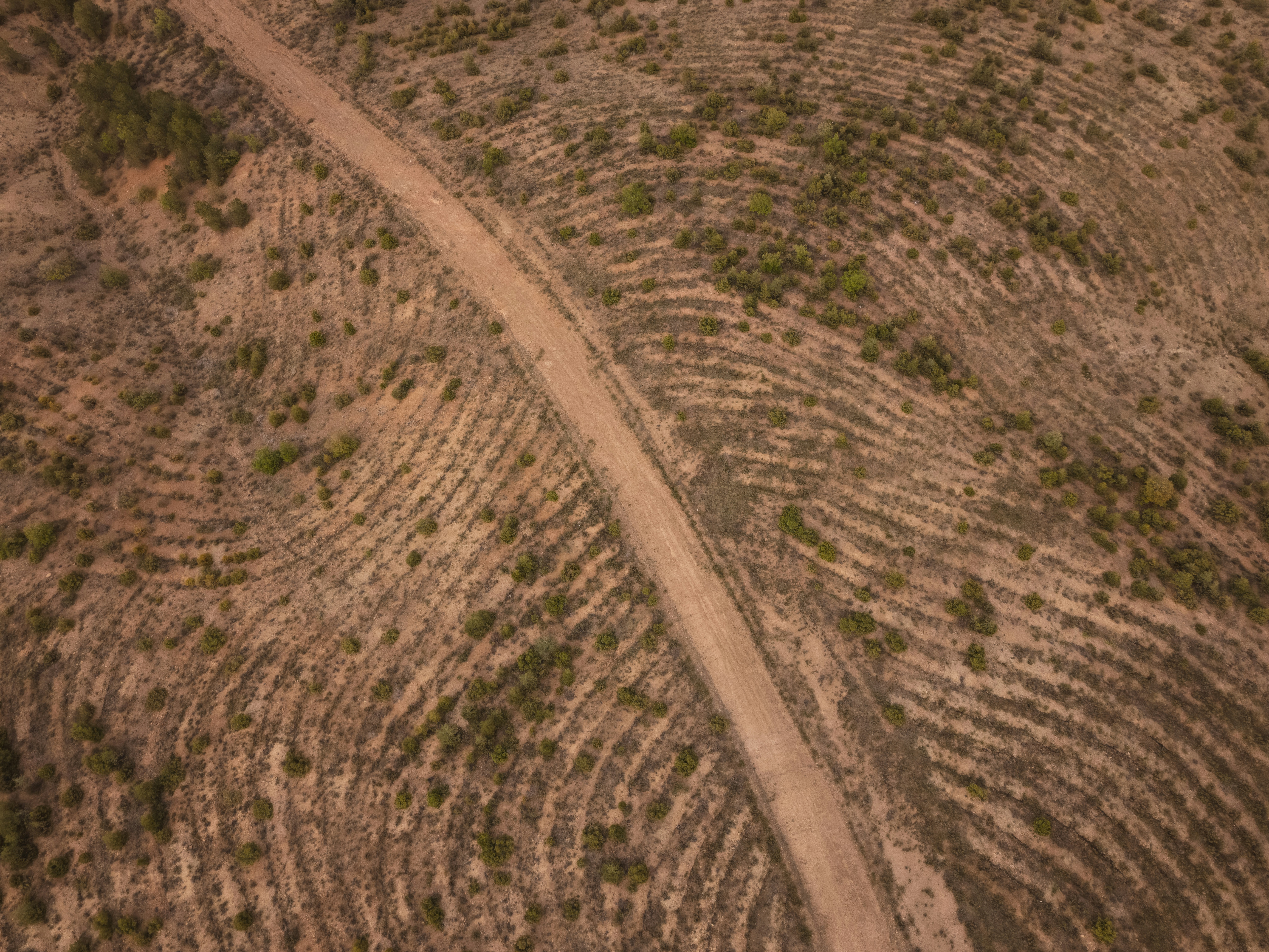 Dirt road winding through arid, terraced landscape