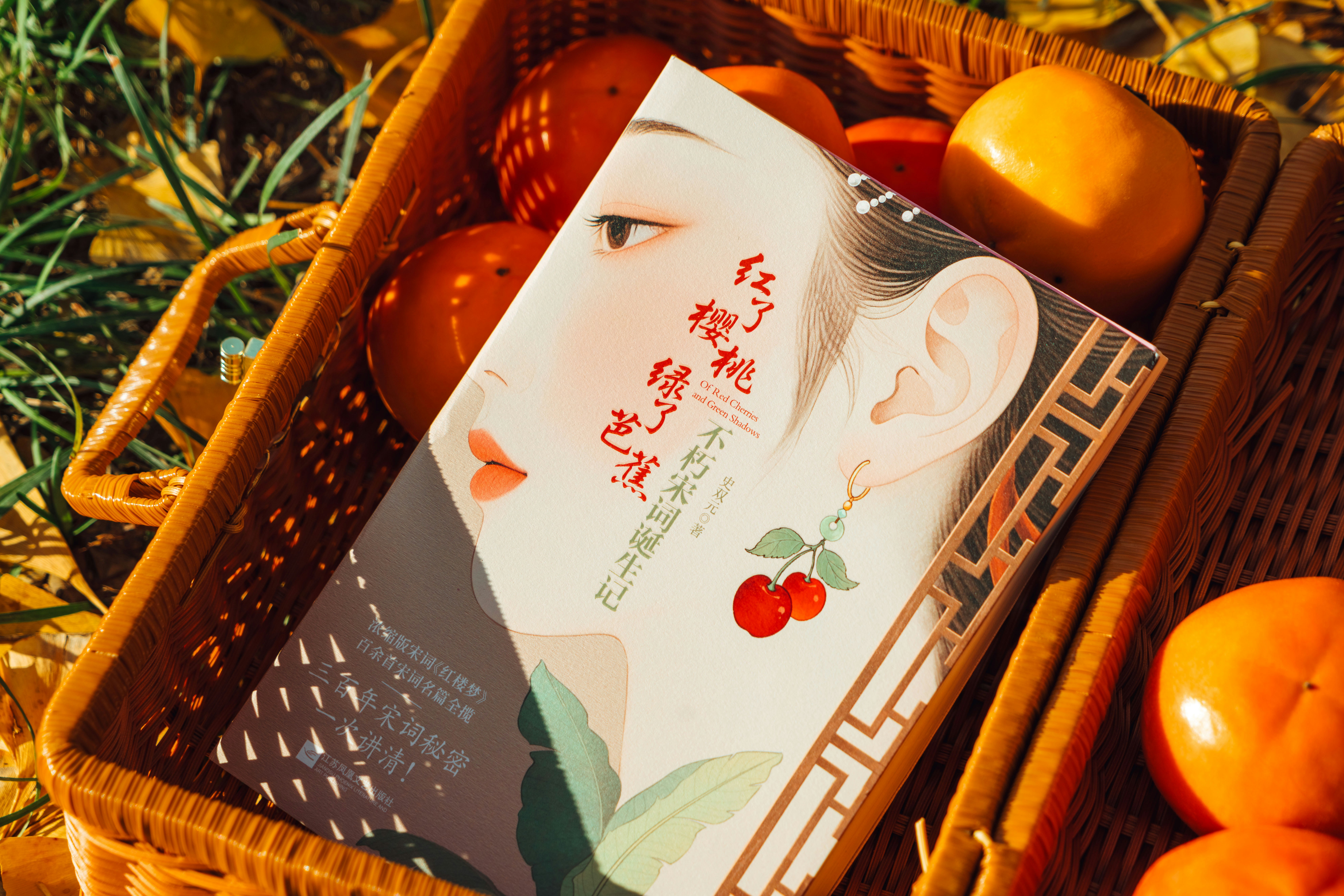 Cultural Reflections: How Music Can Mirror Societal Concerns