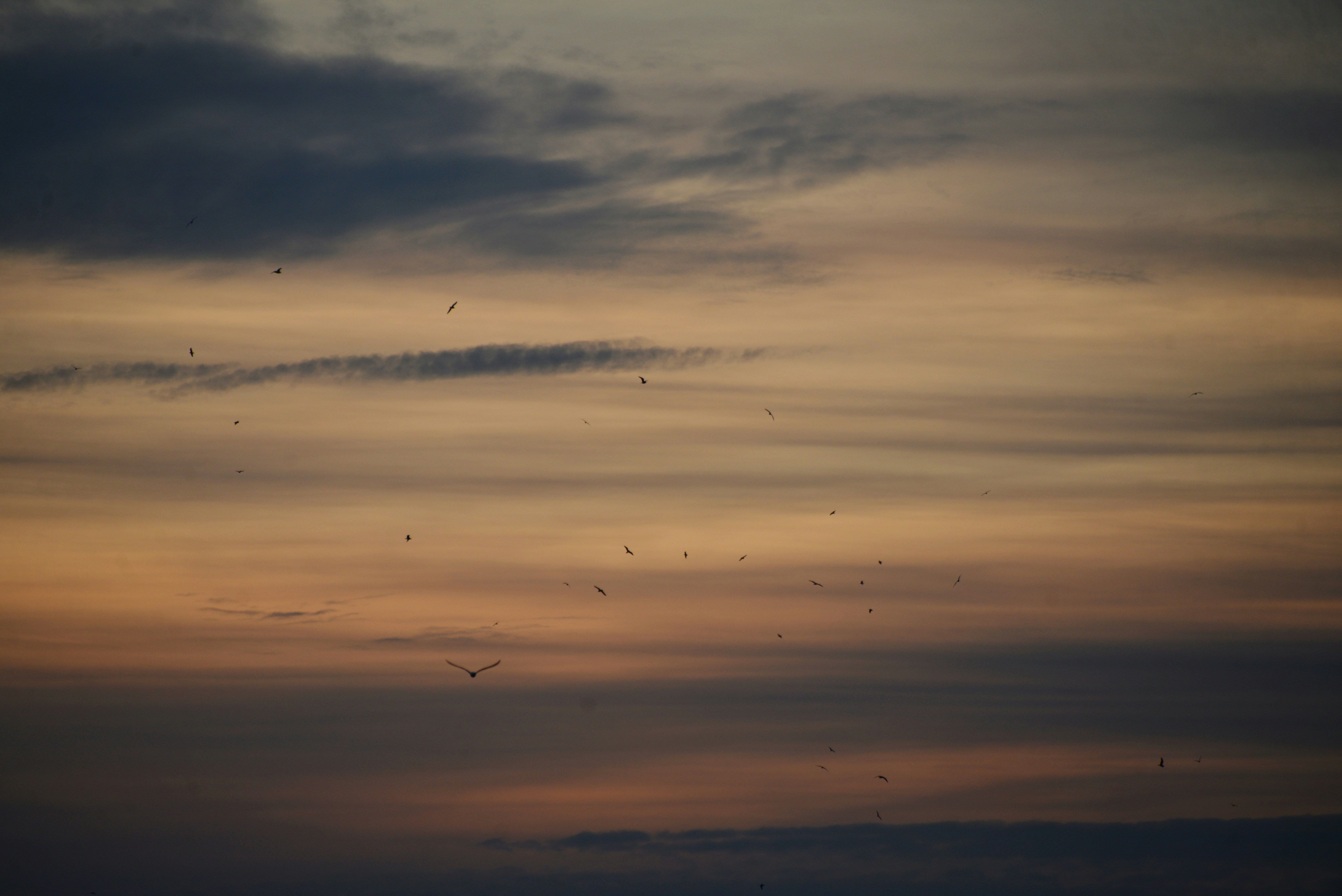 Photo by cherstve_pechivo