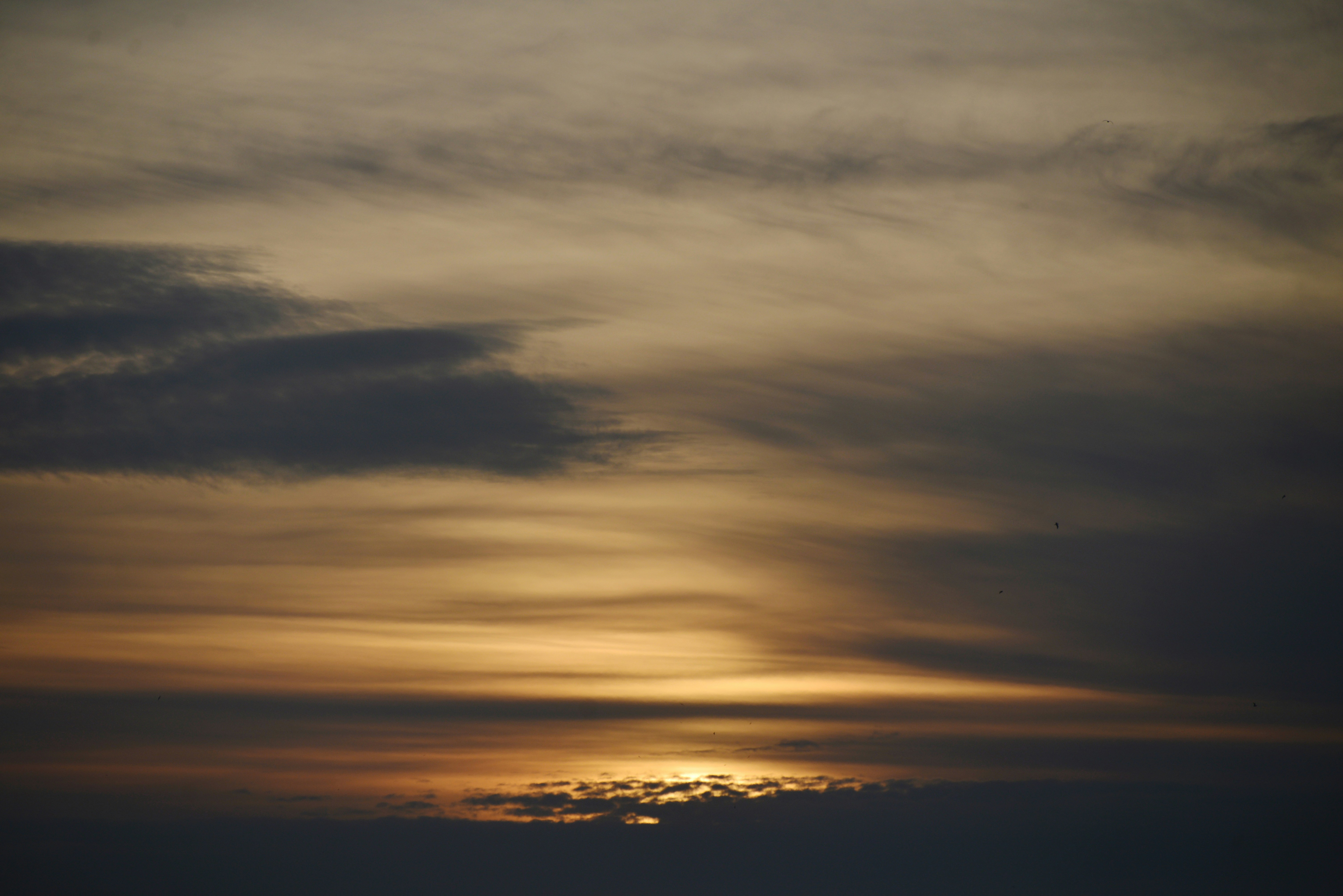 Photo by cherstve_pechivo