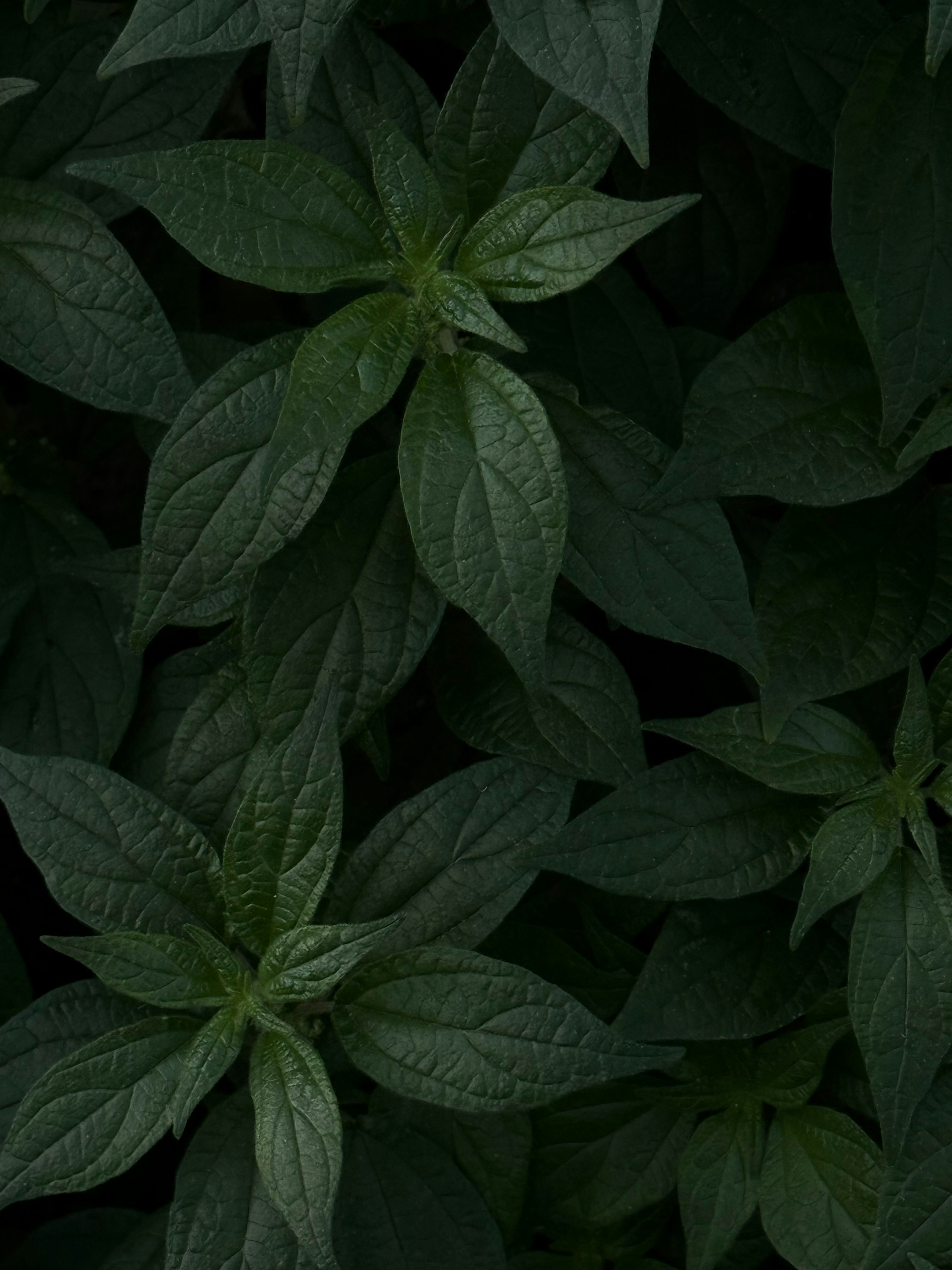 Photo by behindtheseenofficial