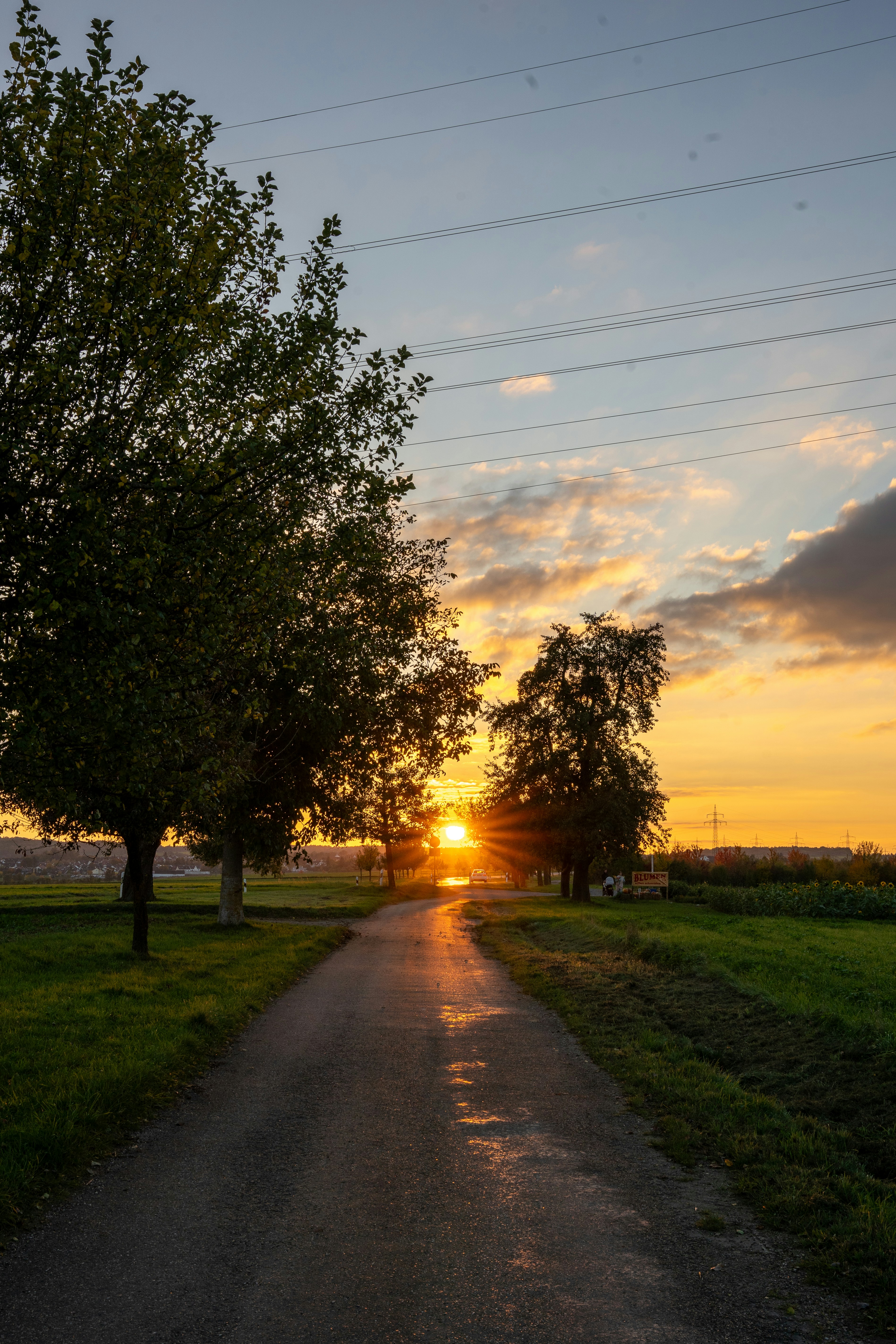 Ever had those moments when you just need a walk to clear your mind? This sunset road feels like the perfect place to reconnect, rewind, and breathe in peace.