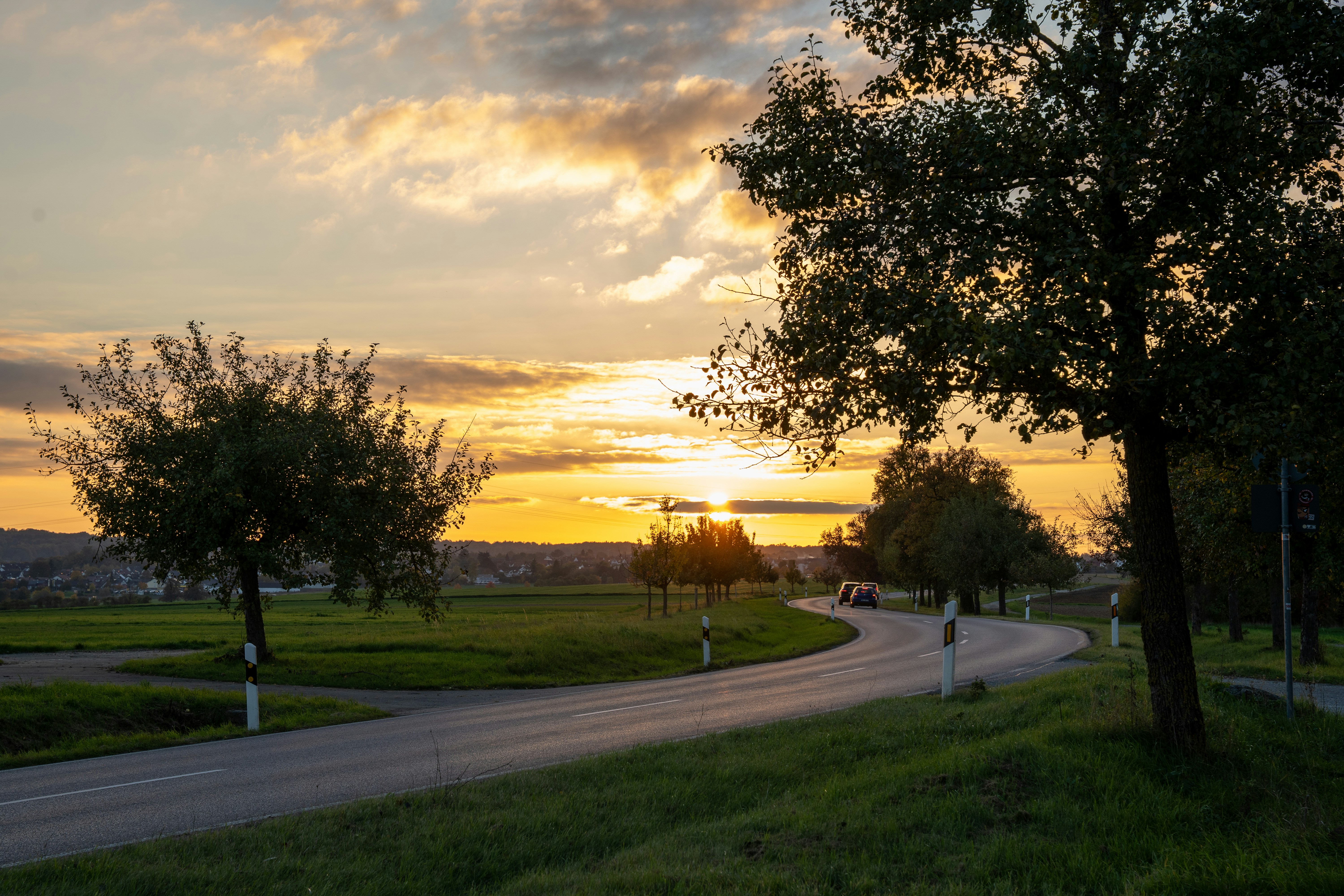 Sometimes the road to peace is simply one lined with trees and kissed by sunset light. Keep moving toward that quiet glow 🌅.
