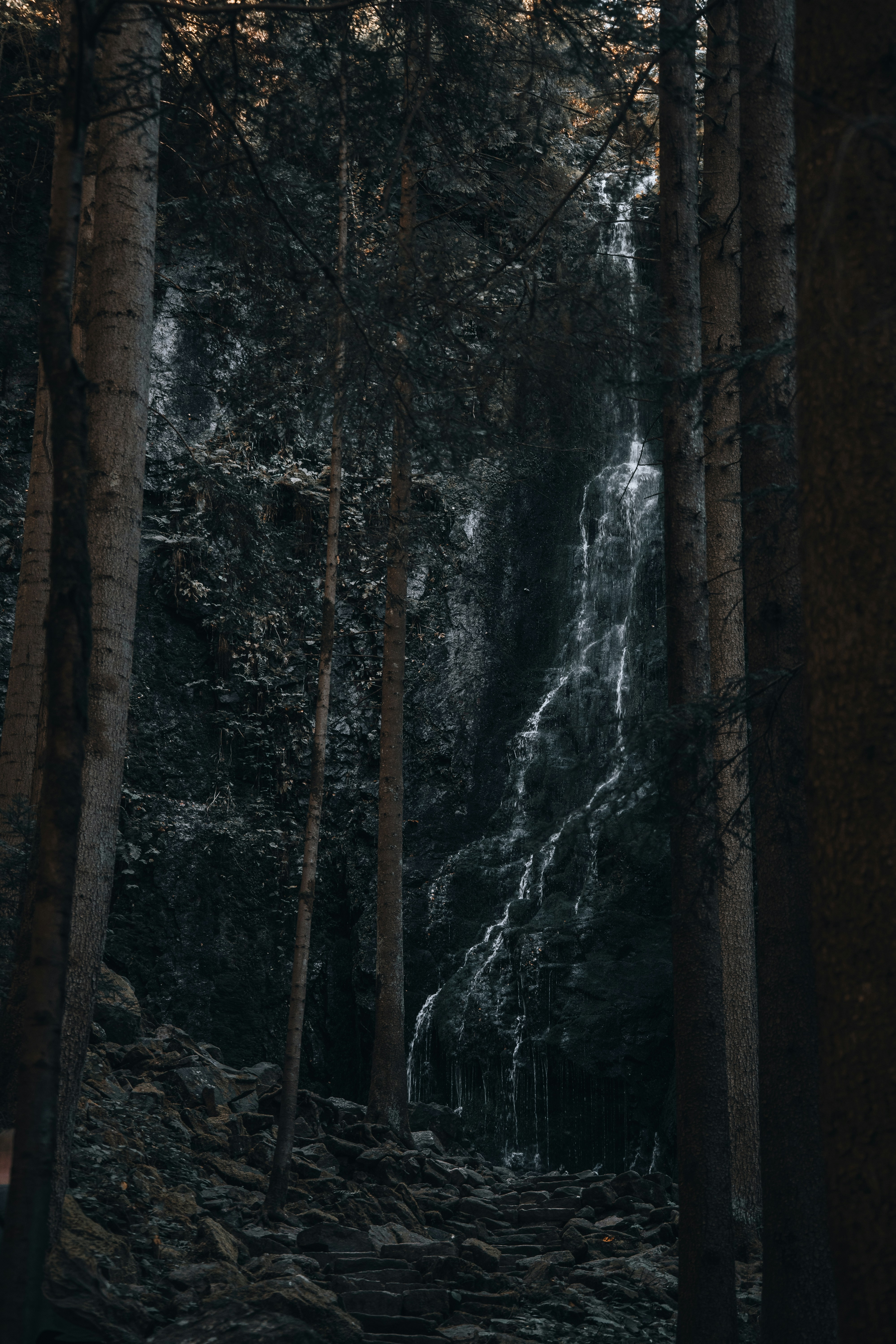 Ein hoher Wasserfall stürzt in einem dunklen Wald Felsen hinab.