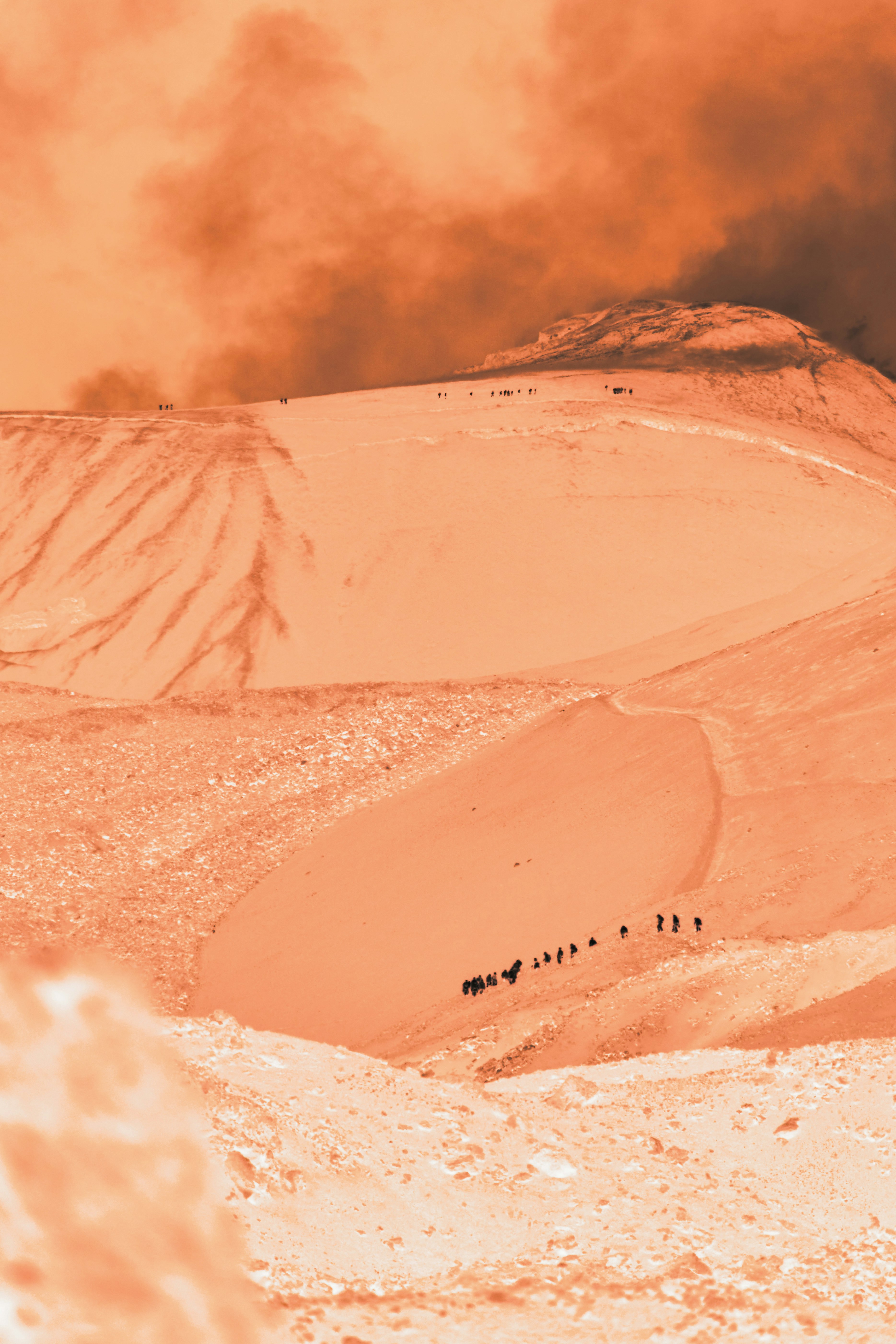 What Does Andes Expedition Insurance Cover During Emergency Evacuation?