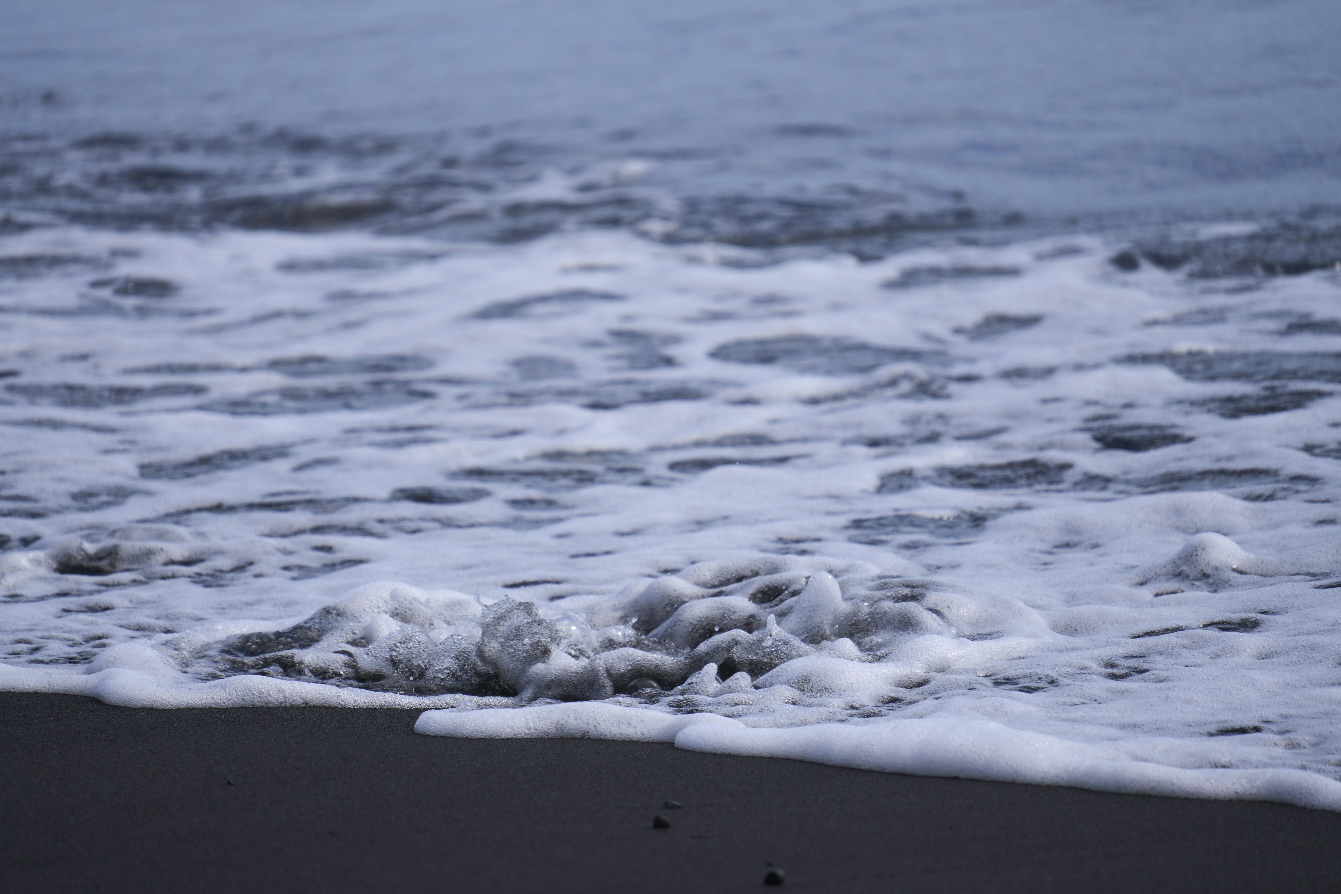 Photo by wolfgang_hasselmann