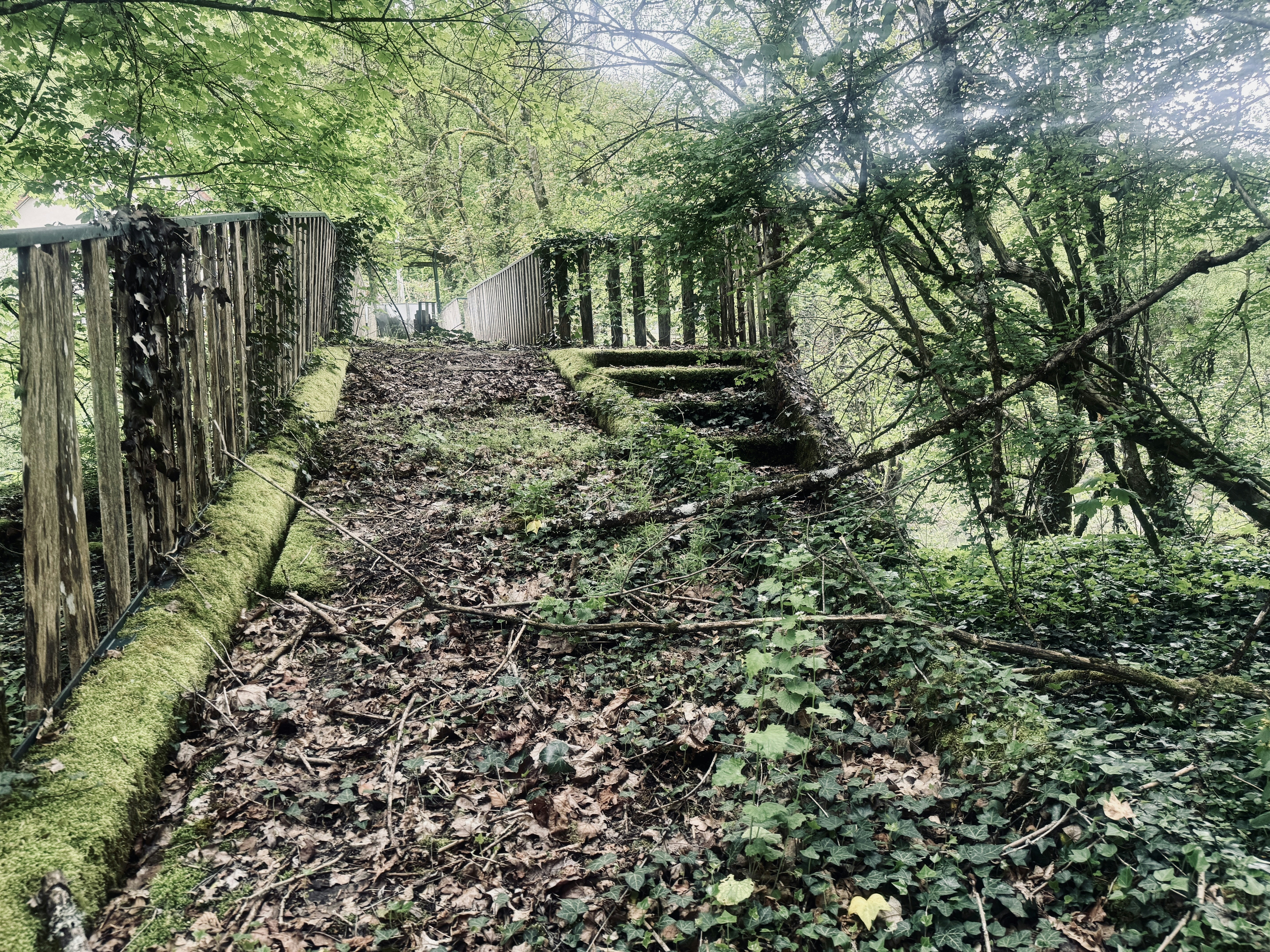 Overgrown wooden bridge covered in leaves and vines.