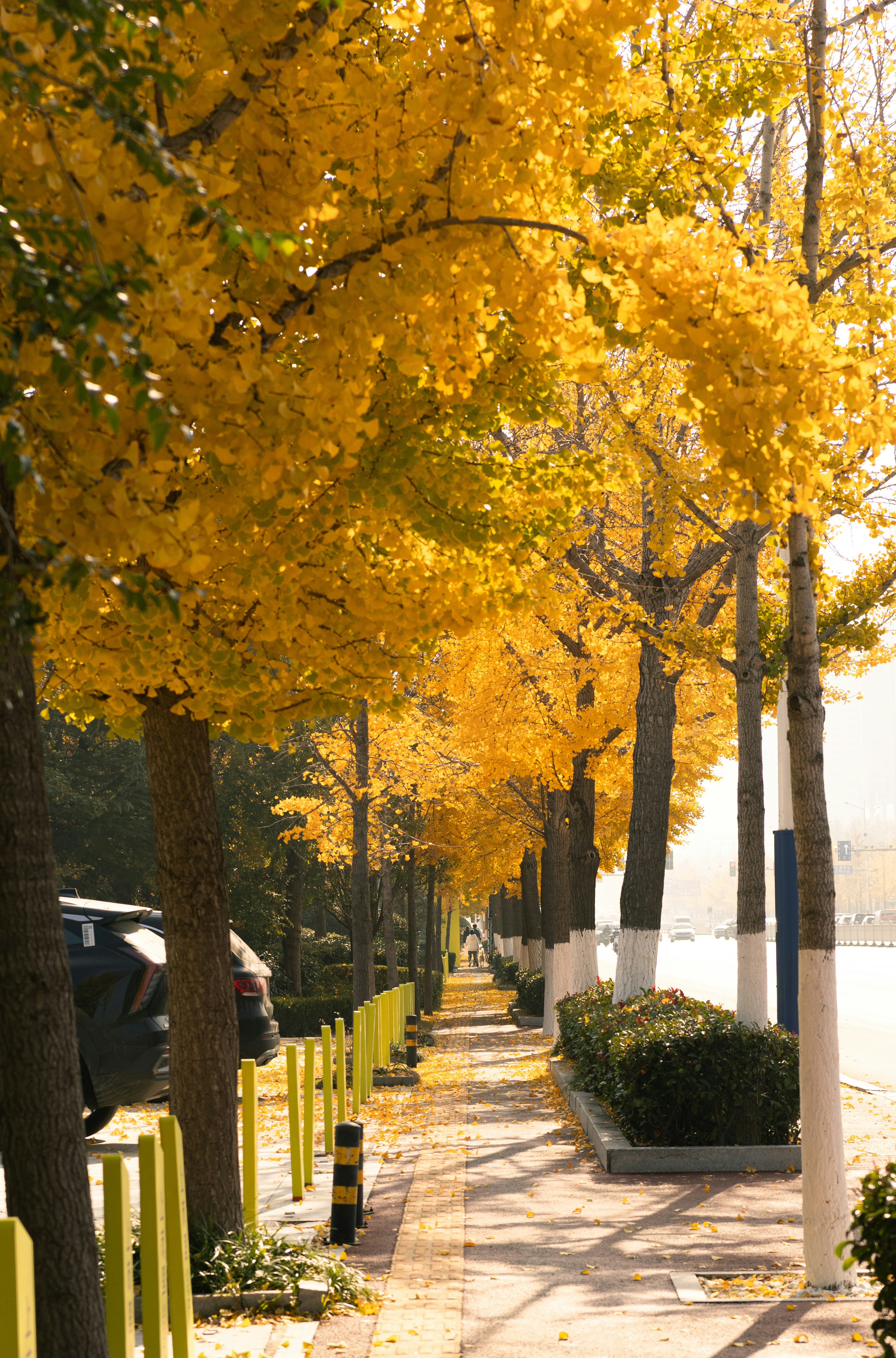 Photo by travelershigh