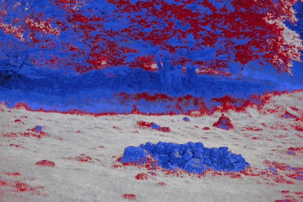 Abstract landscape with red and blue colors