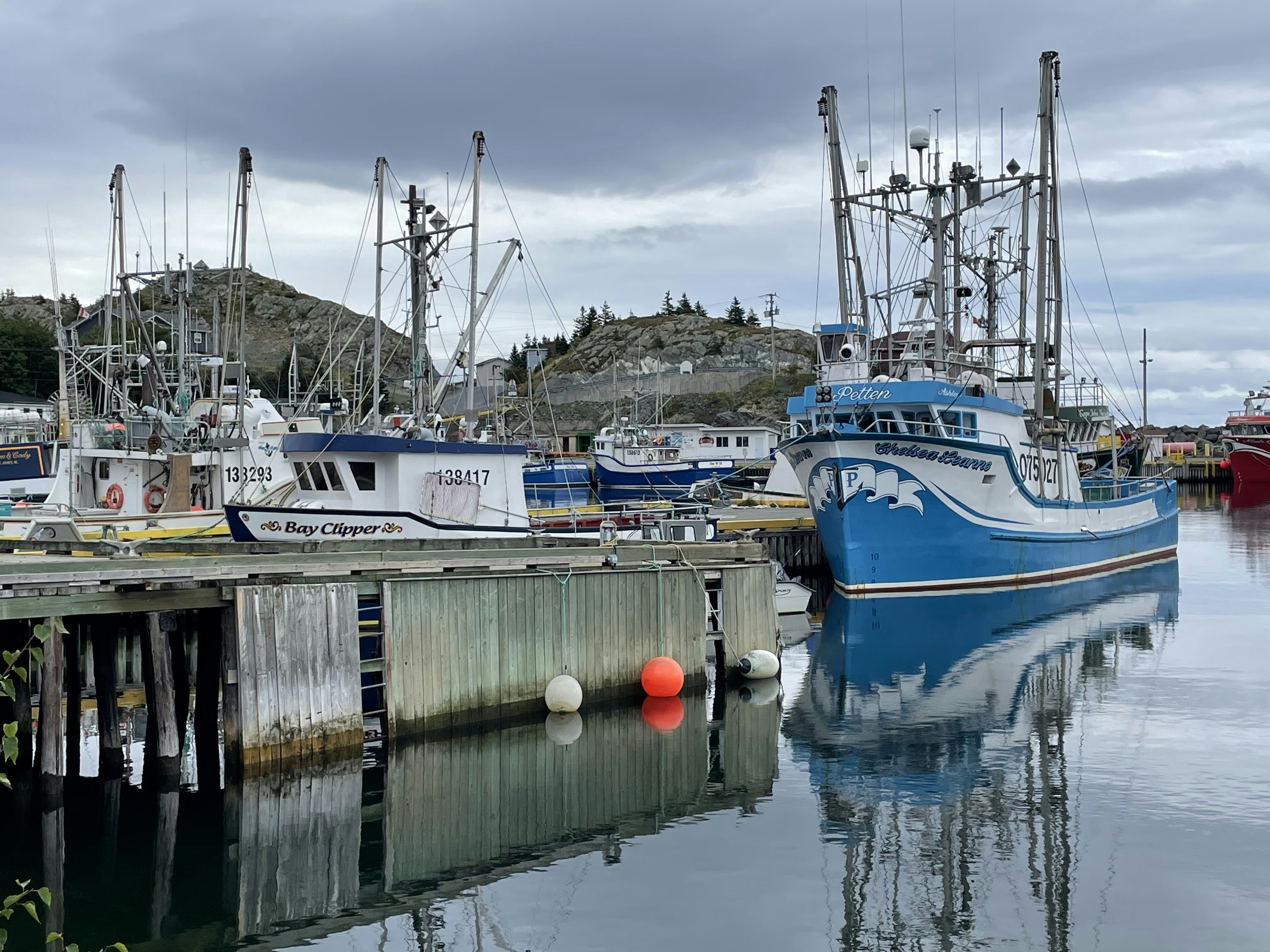 Fishing boats docked in a harbor under cloudy sky