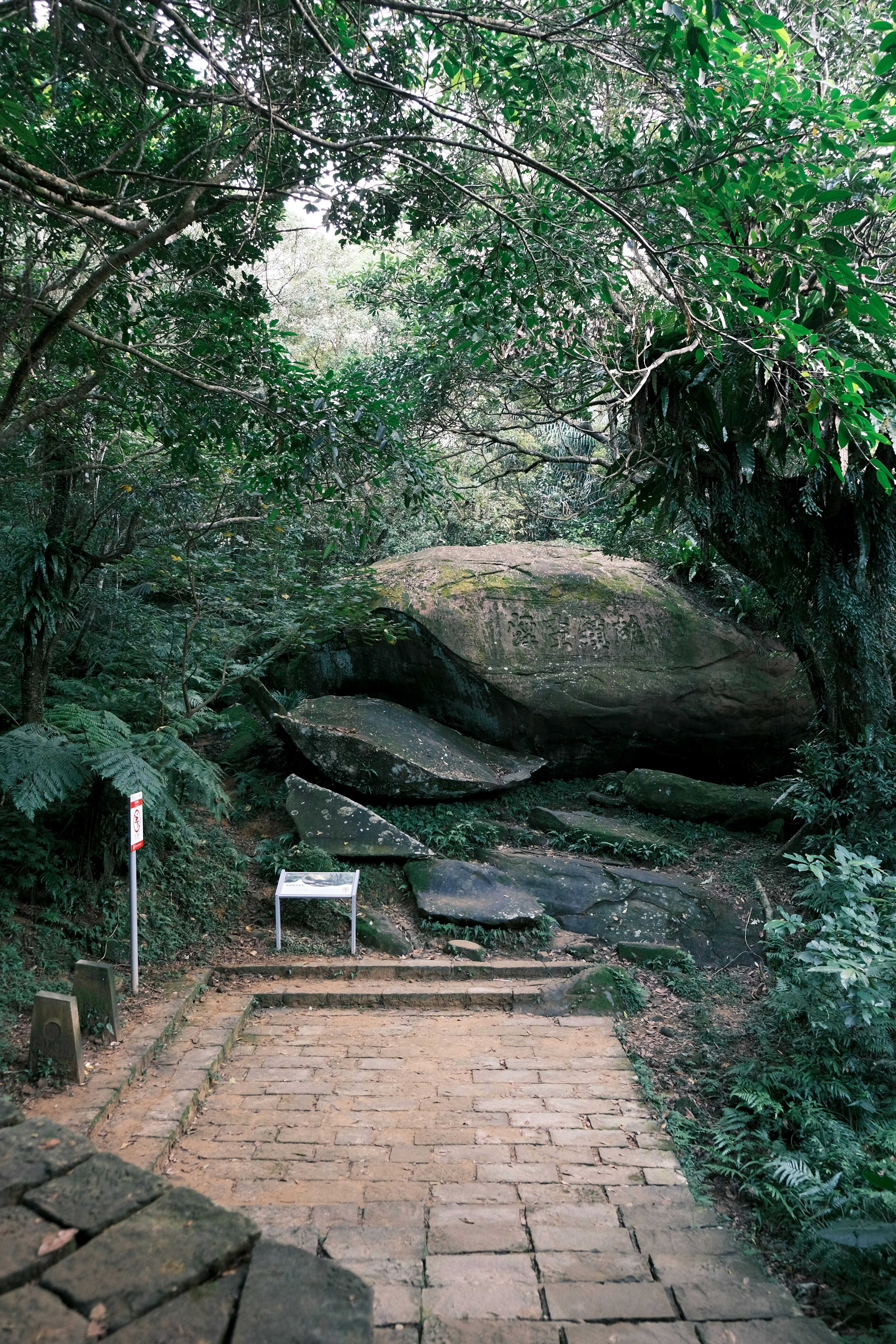 Hiking Trail 1