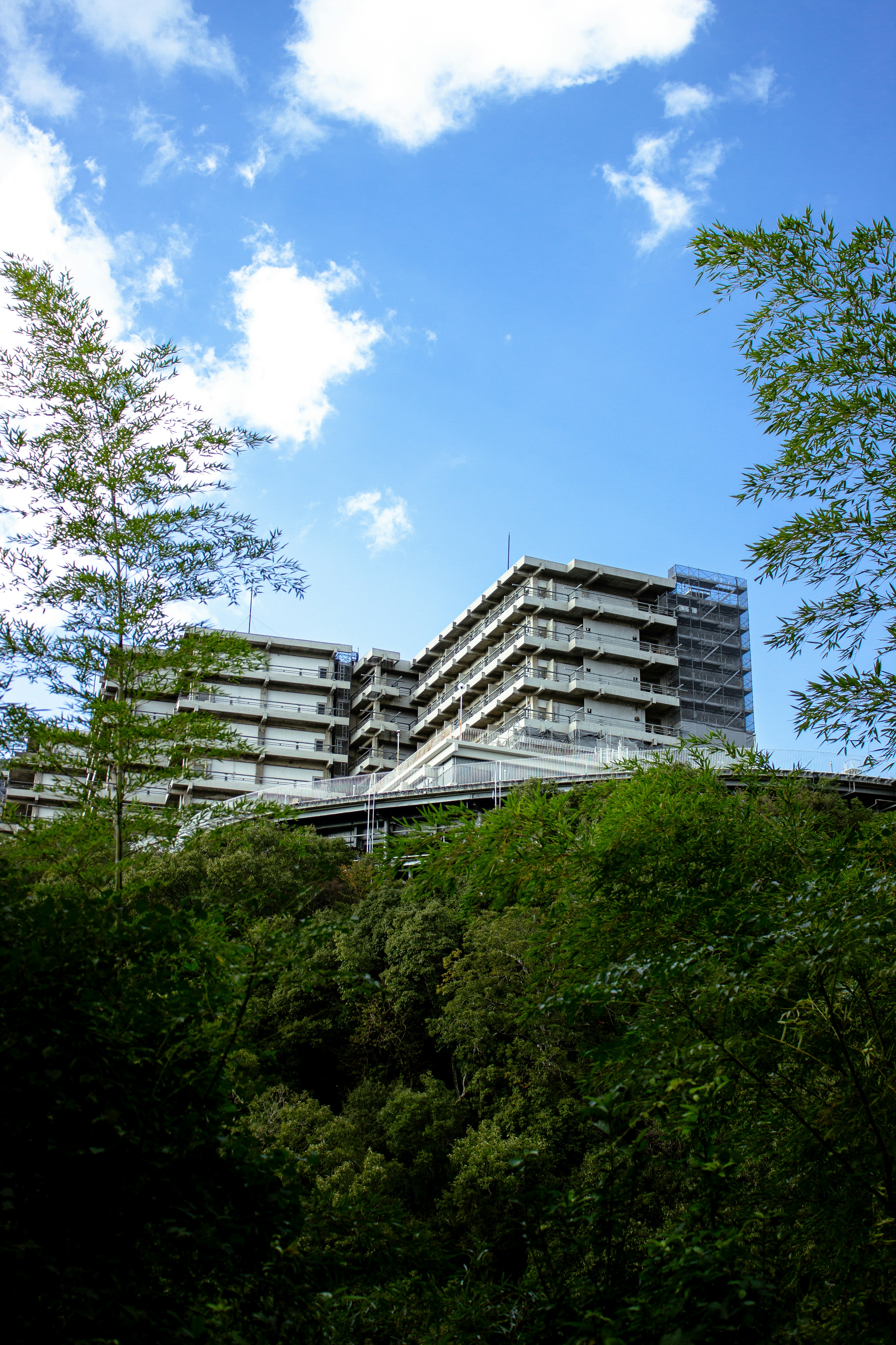 Residential & Commercial