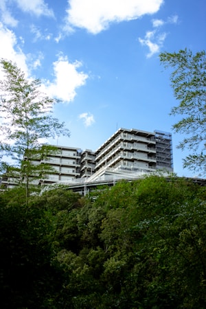 Modern residential building