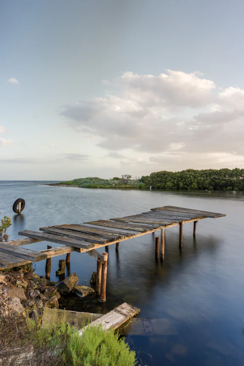 Vieux ponton de bois sur une eau calme bordée de verdure