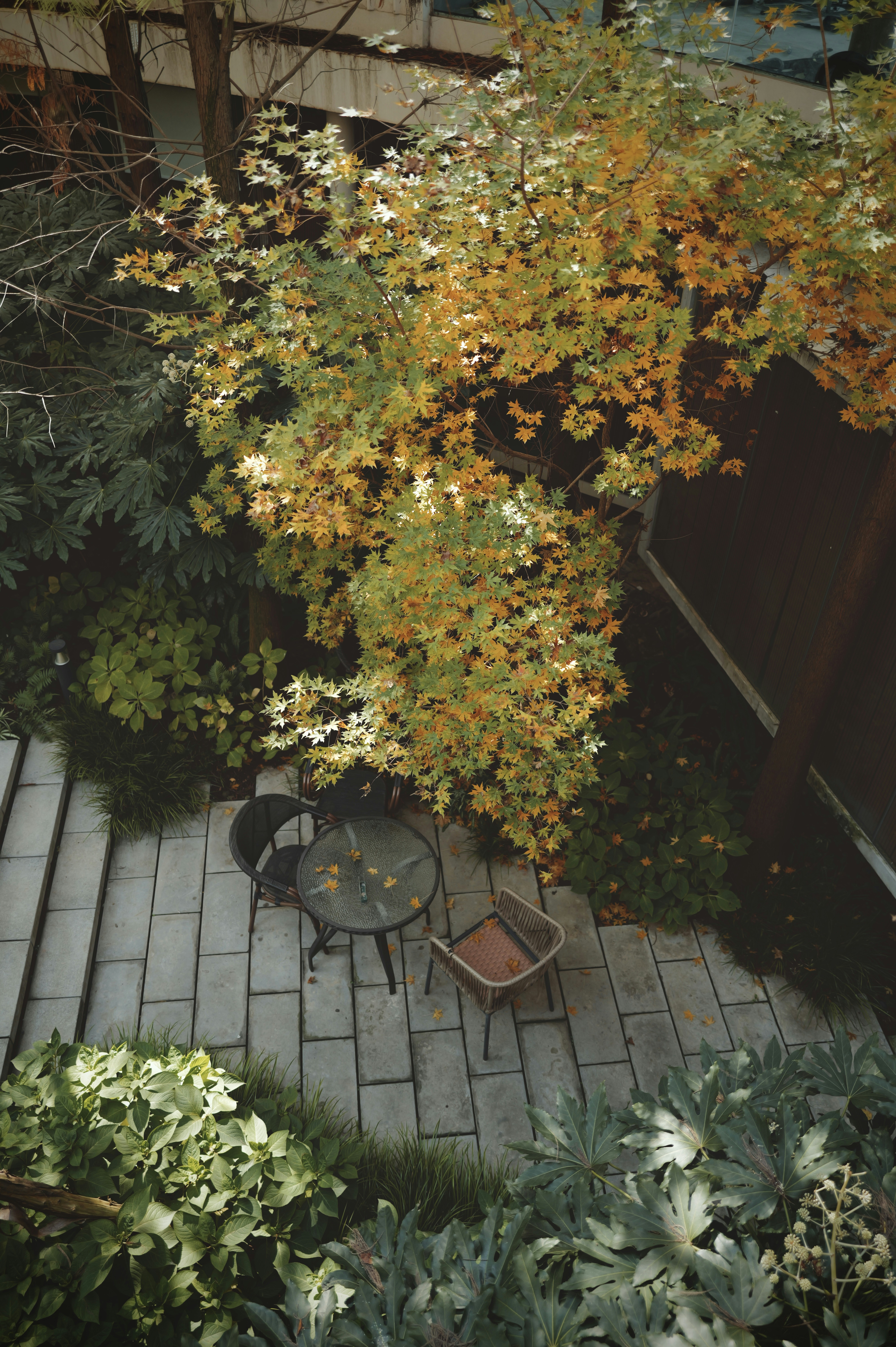 Two simple wooden chairs sitting on a peaceful patio.