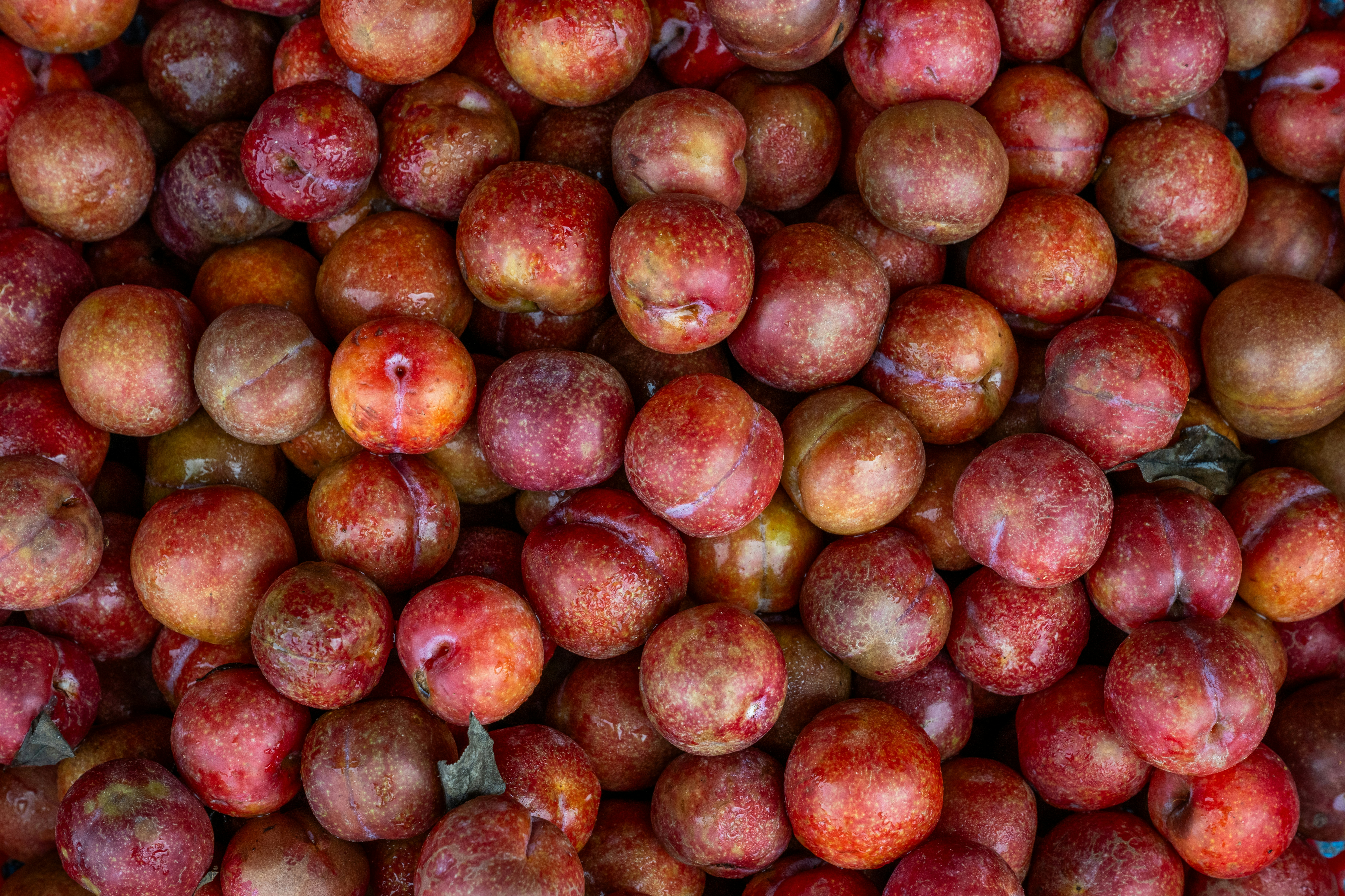 Photo by satoriphoto