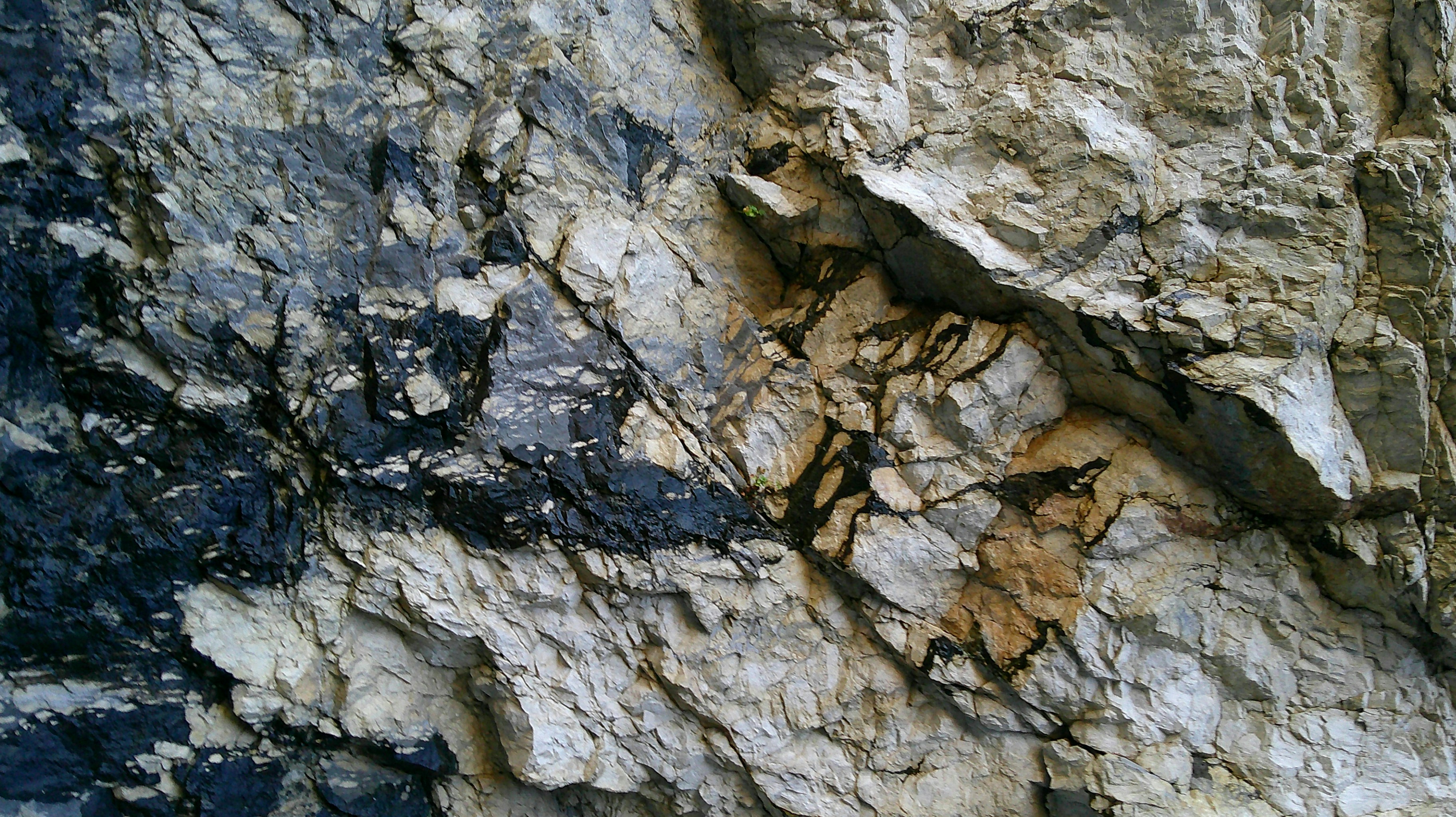 Close-up of a textured rock face with varied colors.