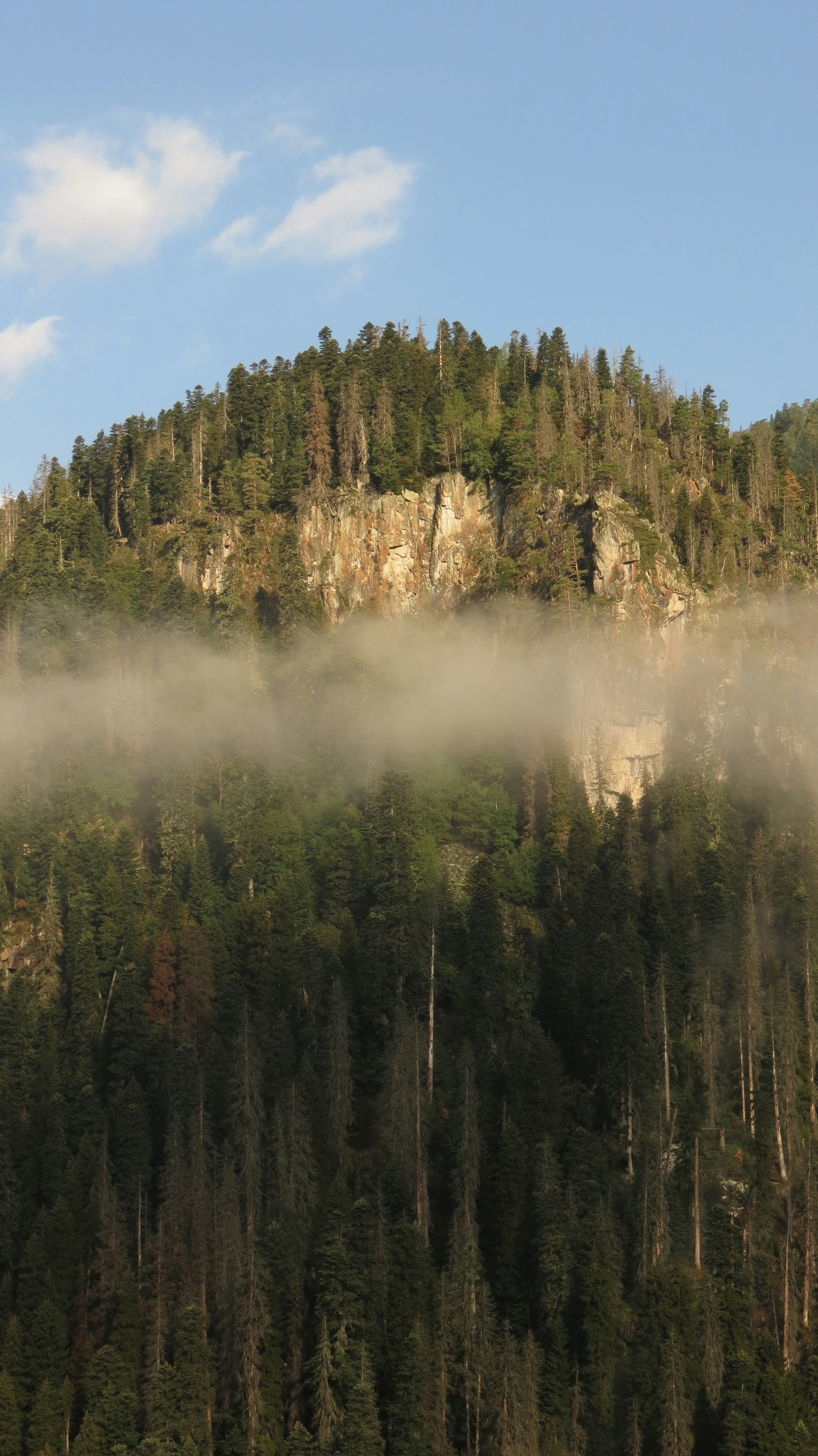 Misty mountain forest with rocky cliffs and blue sky