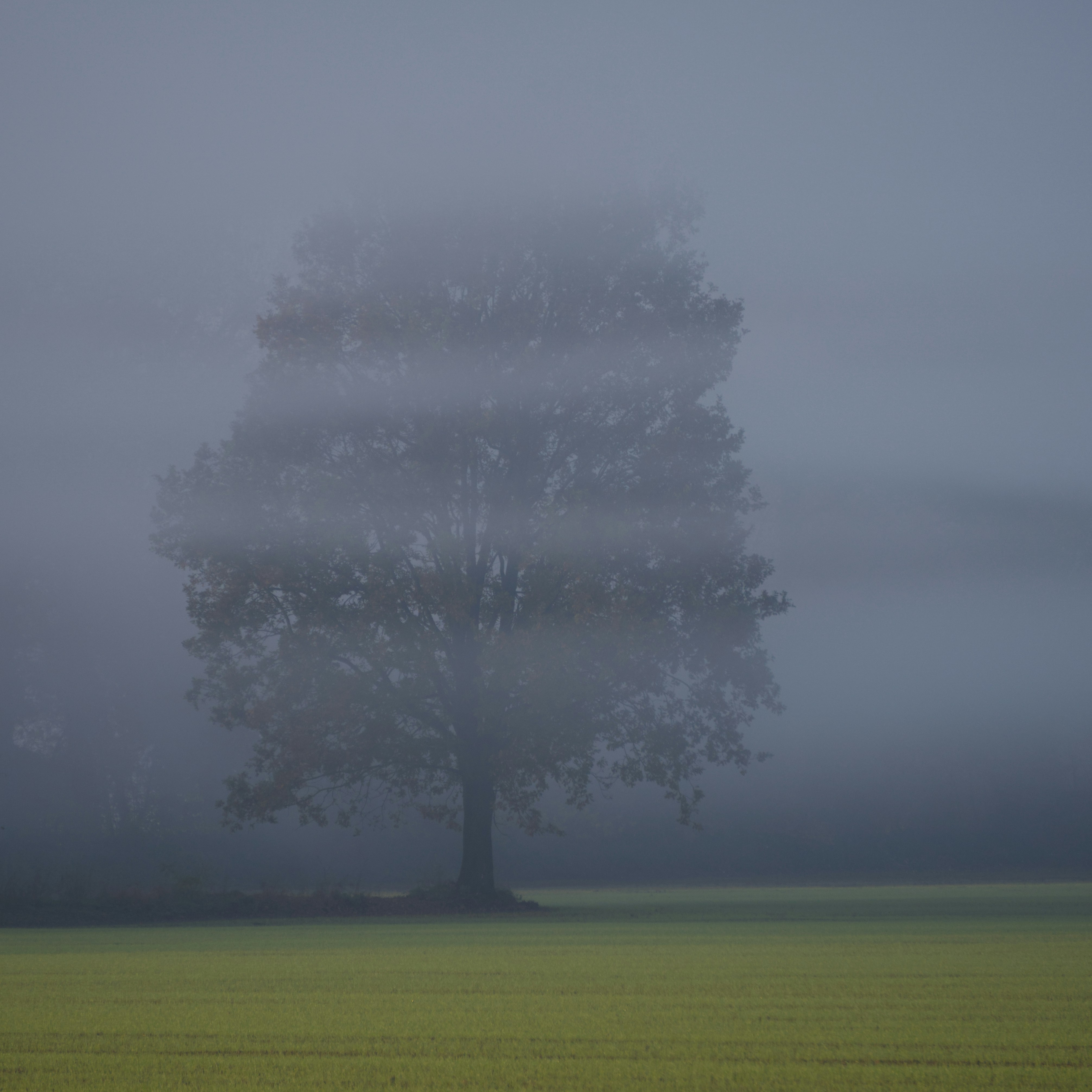 Moody landscape photograph