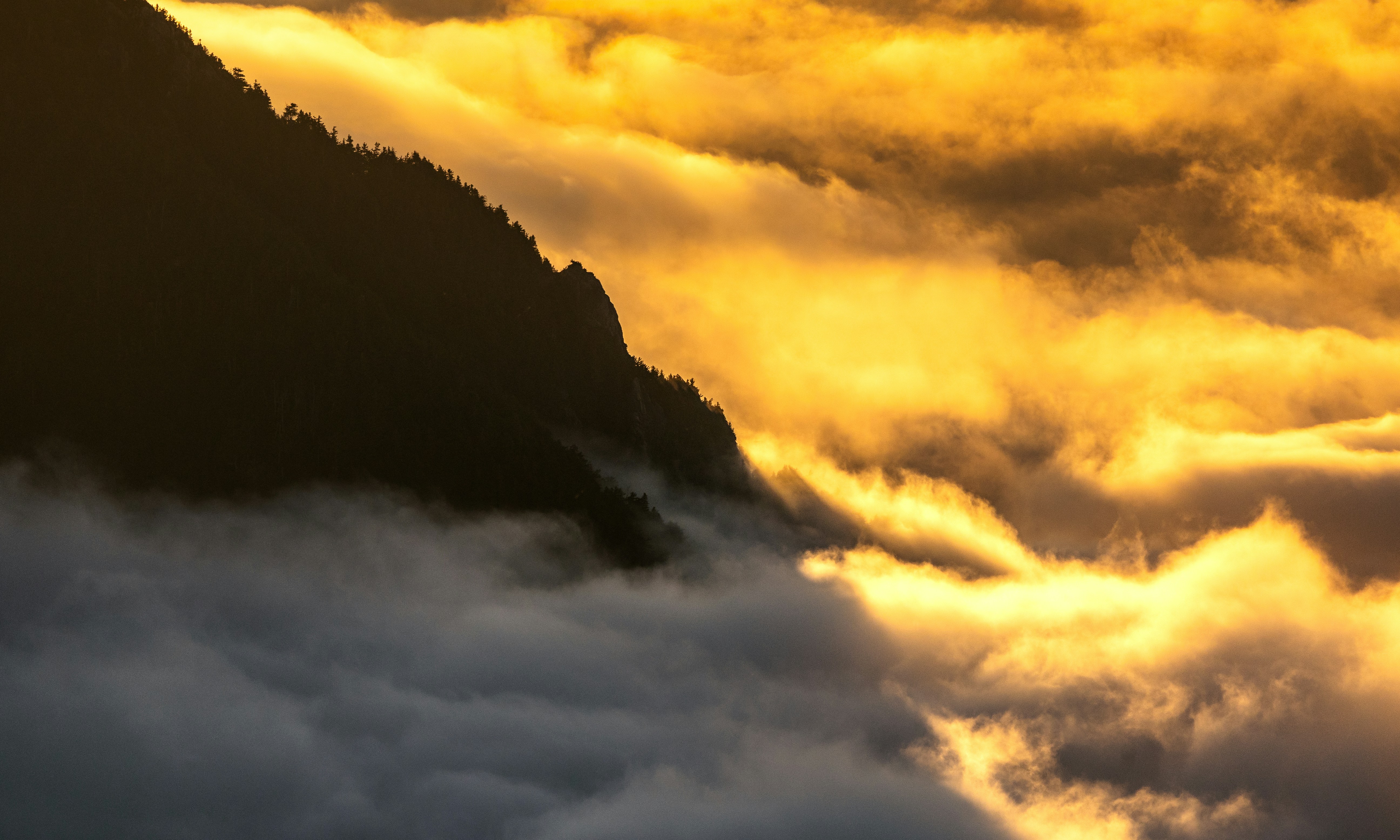 Photo by marekpiwnicki