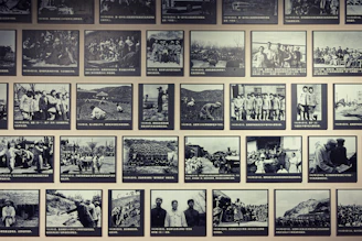 Wall display of historical black and white photographs