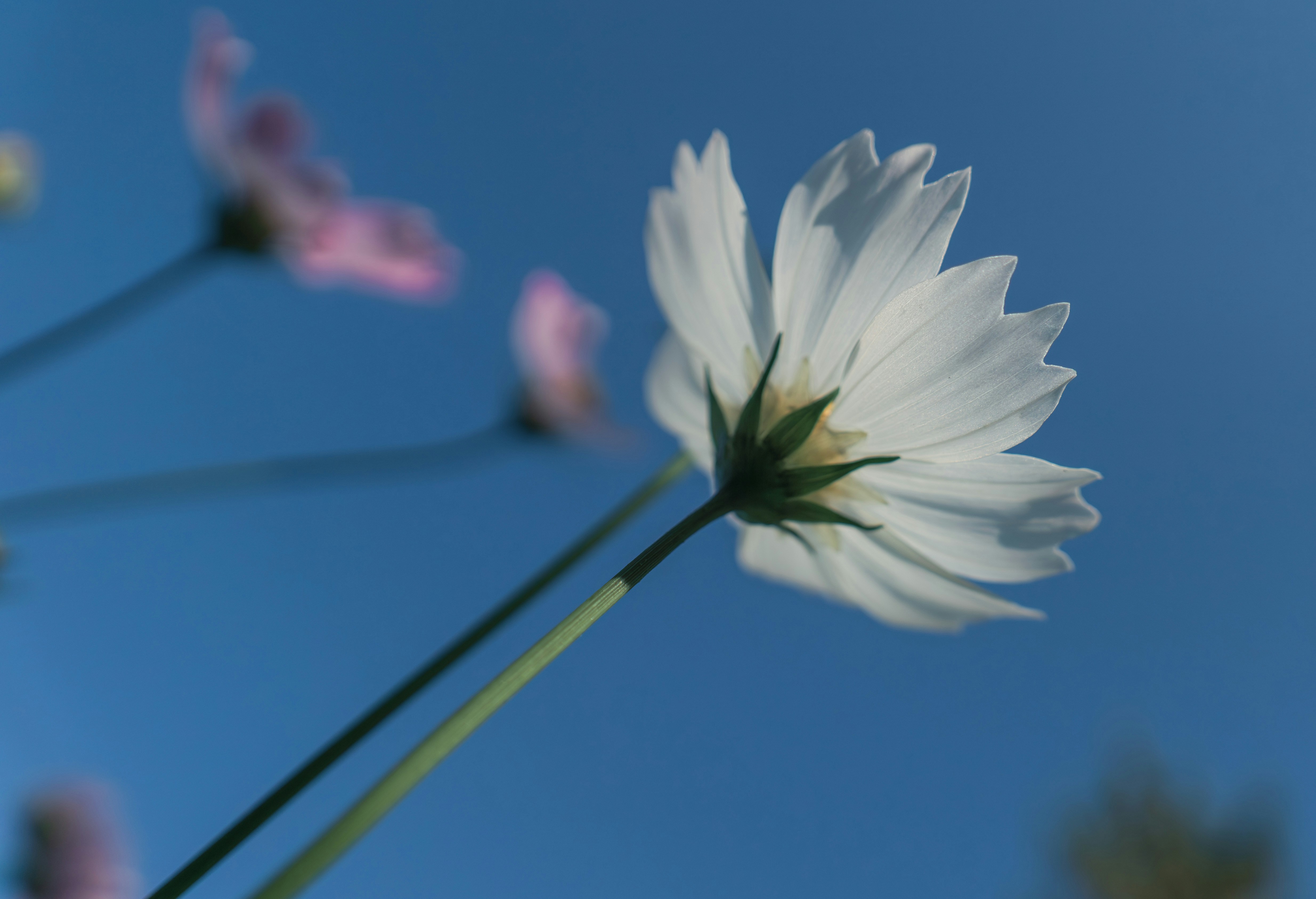 Photo by taiga_miyamoto